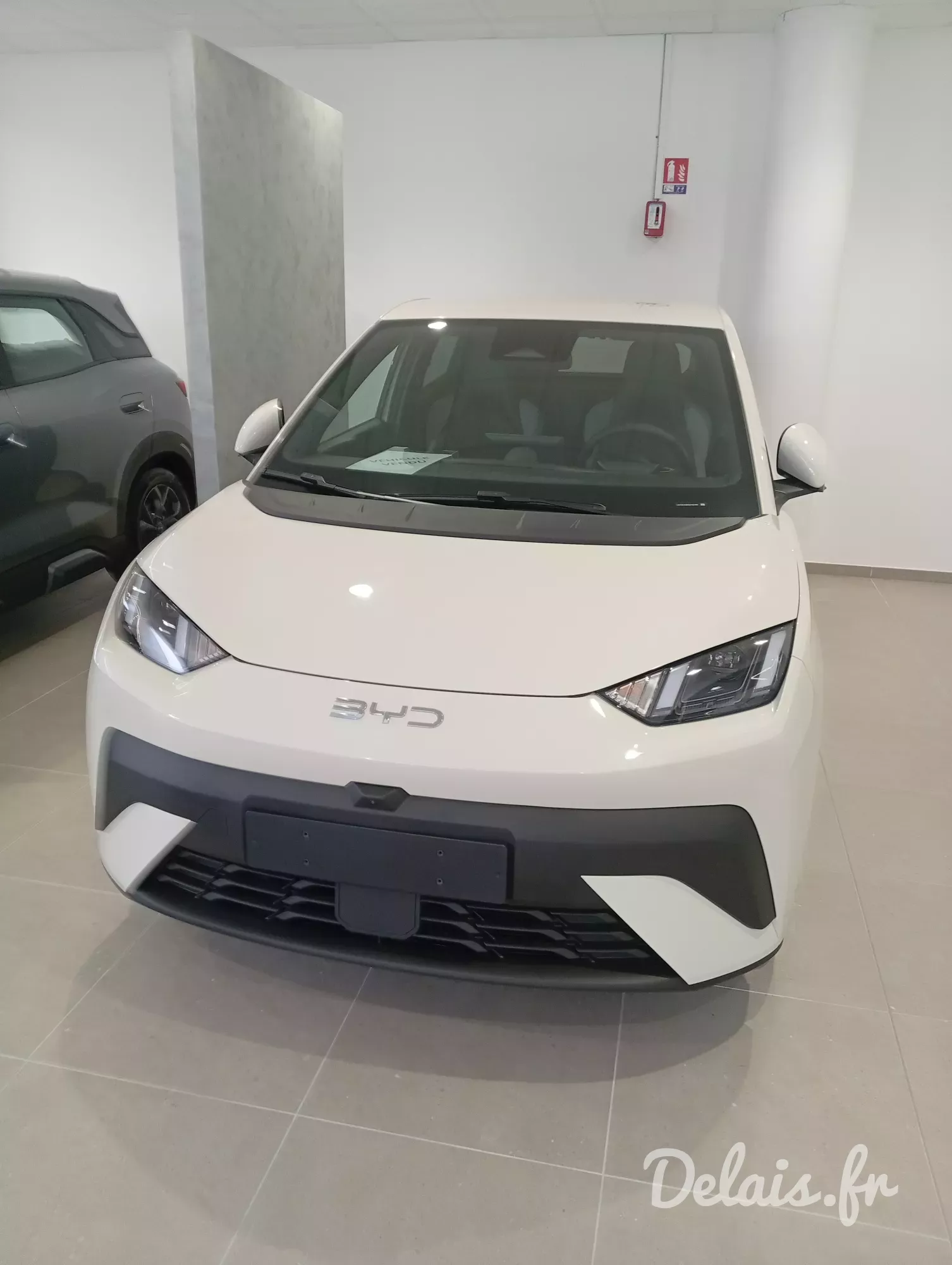 BYD Dolphin Surf Apricity White Comfort