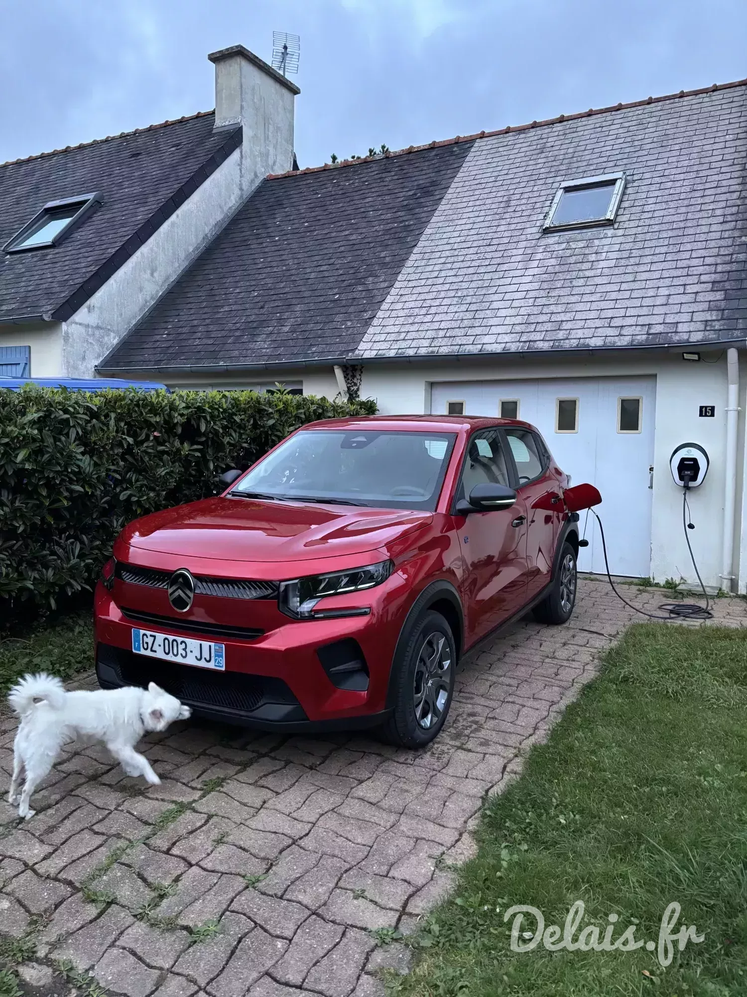 Citroën C3 Elixir Red You