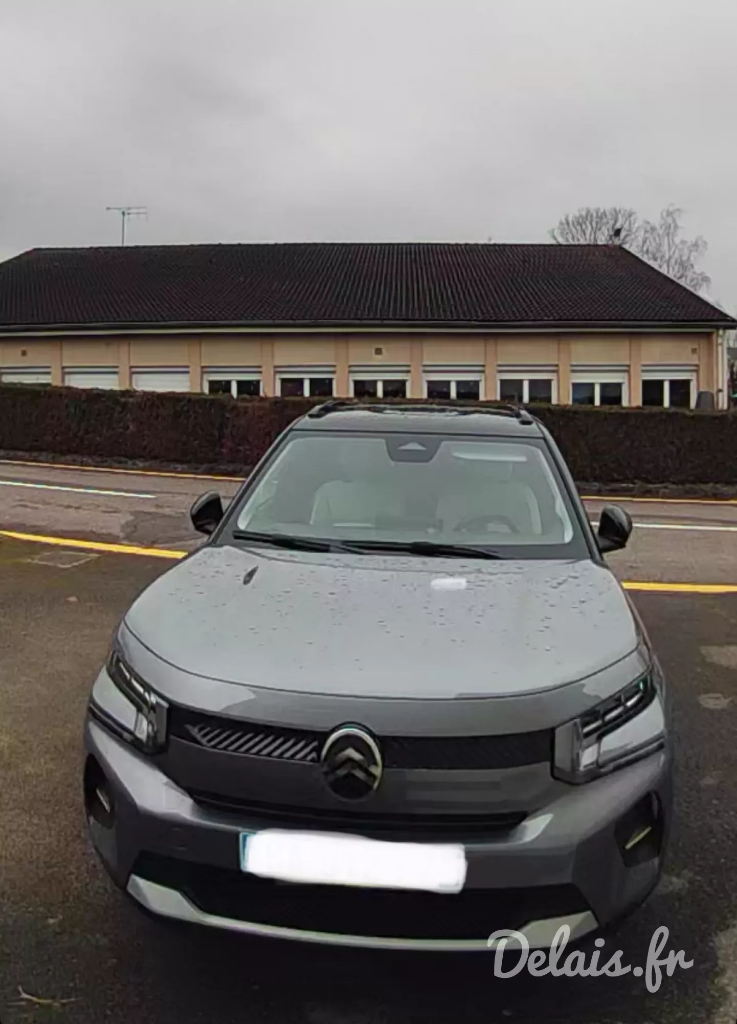 Citroën C3 Mercury Grey Max