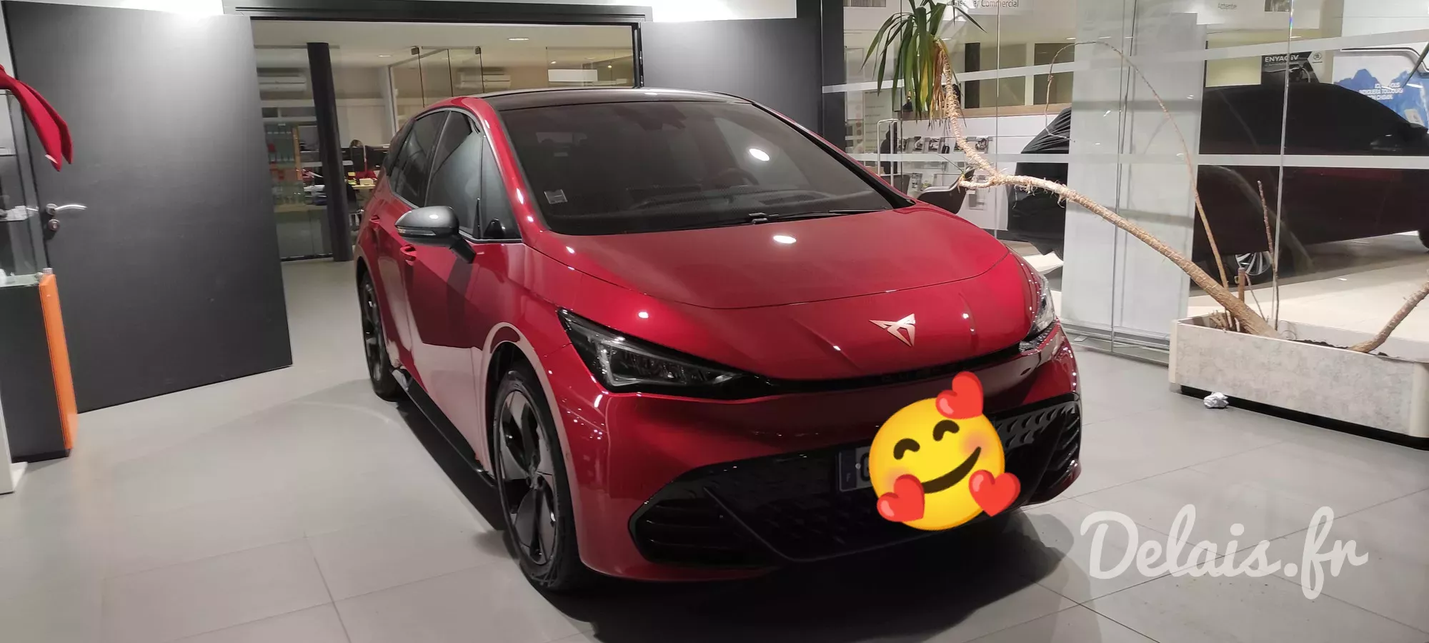 Cupra Born Rouge Nacré V