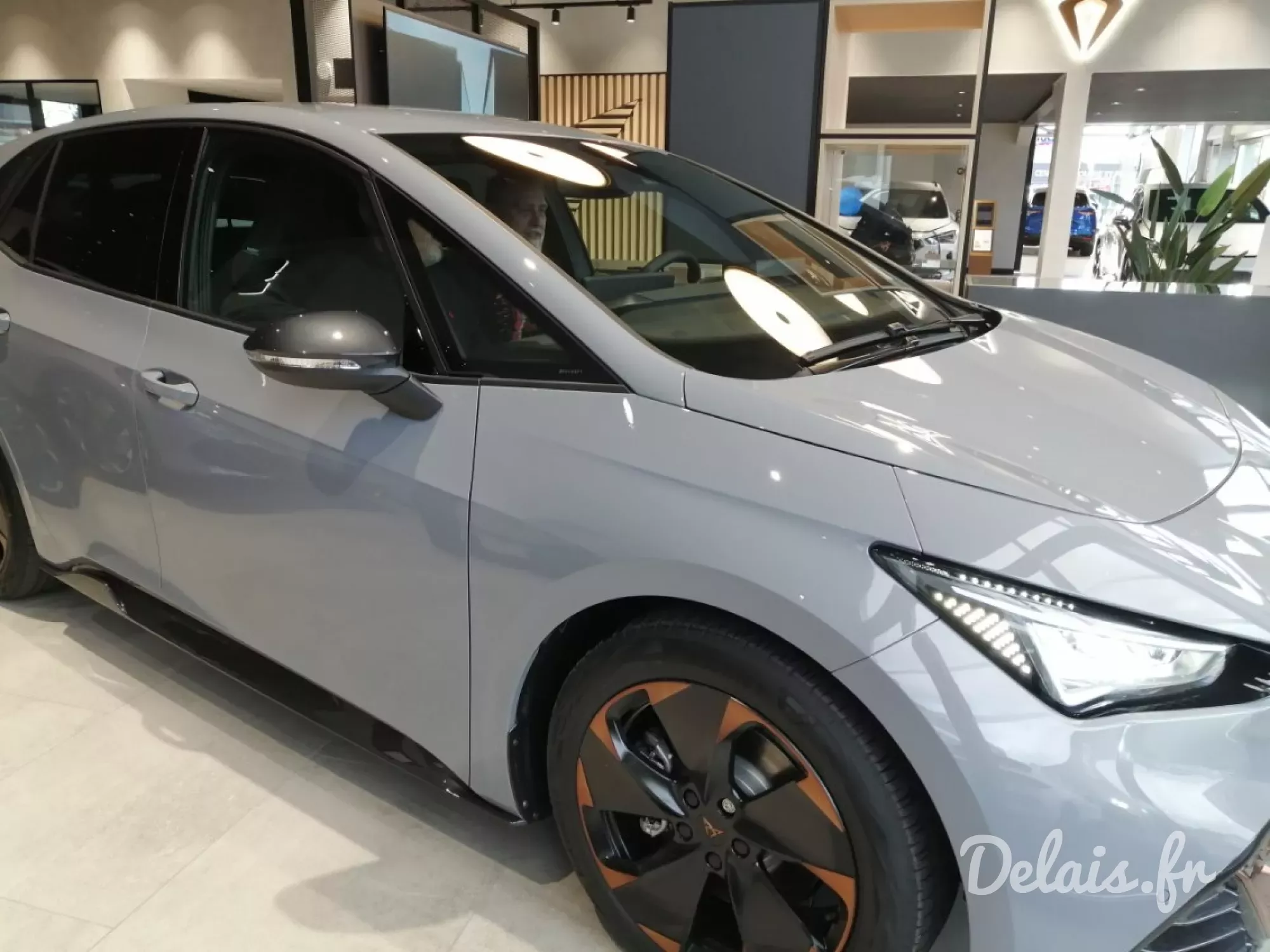 Cupra Born Vapor Grey VZ