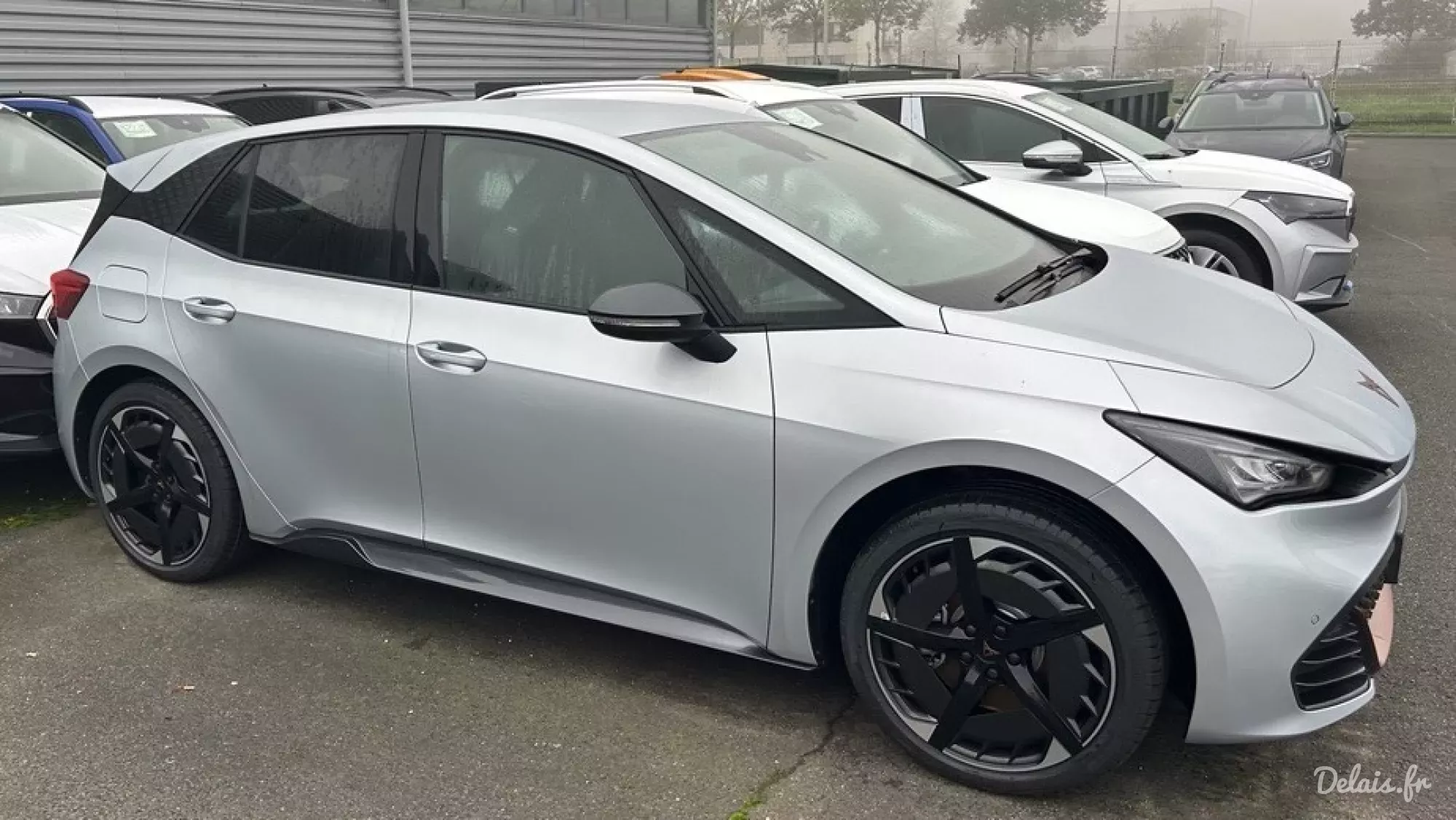 Cupra Born Geyser Silver VZ