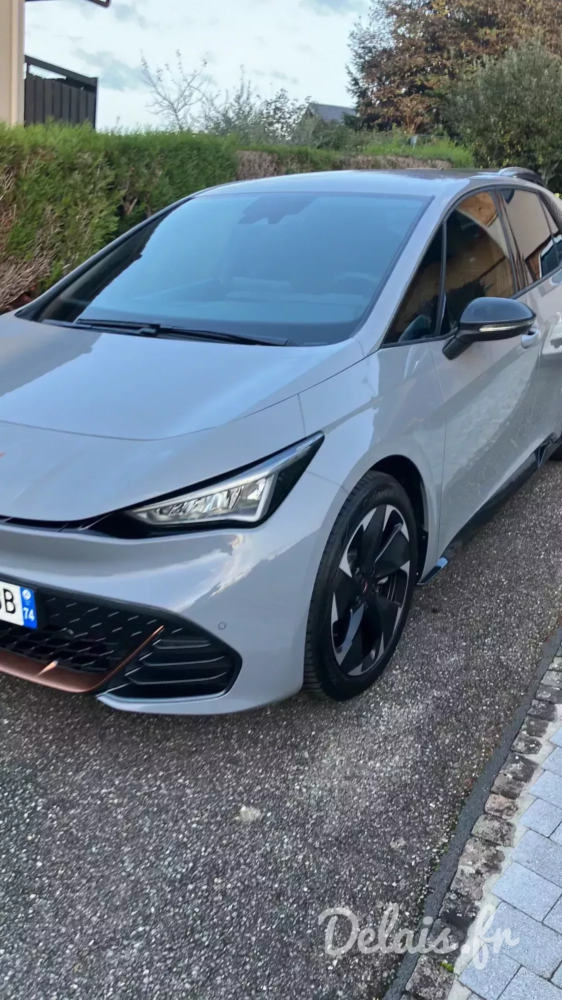 Cupra Born Vapor Grey VZ
