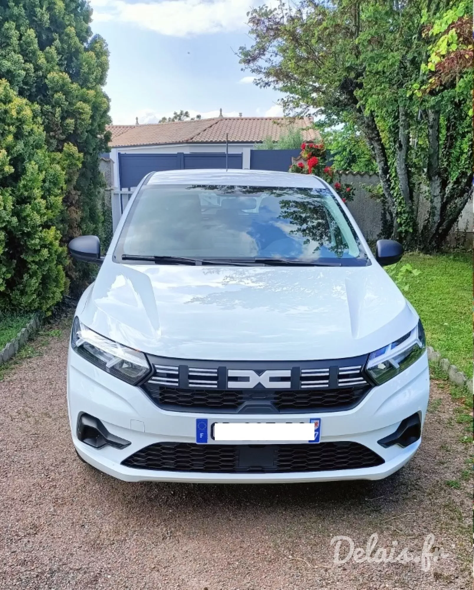 Dacia Sandero Glacier White Essential