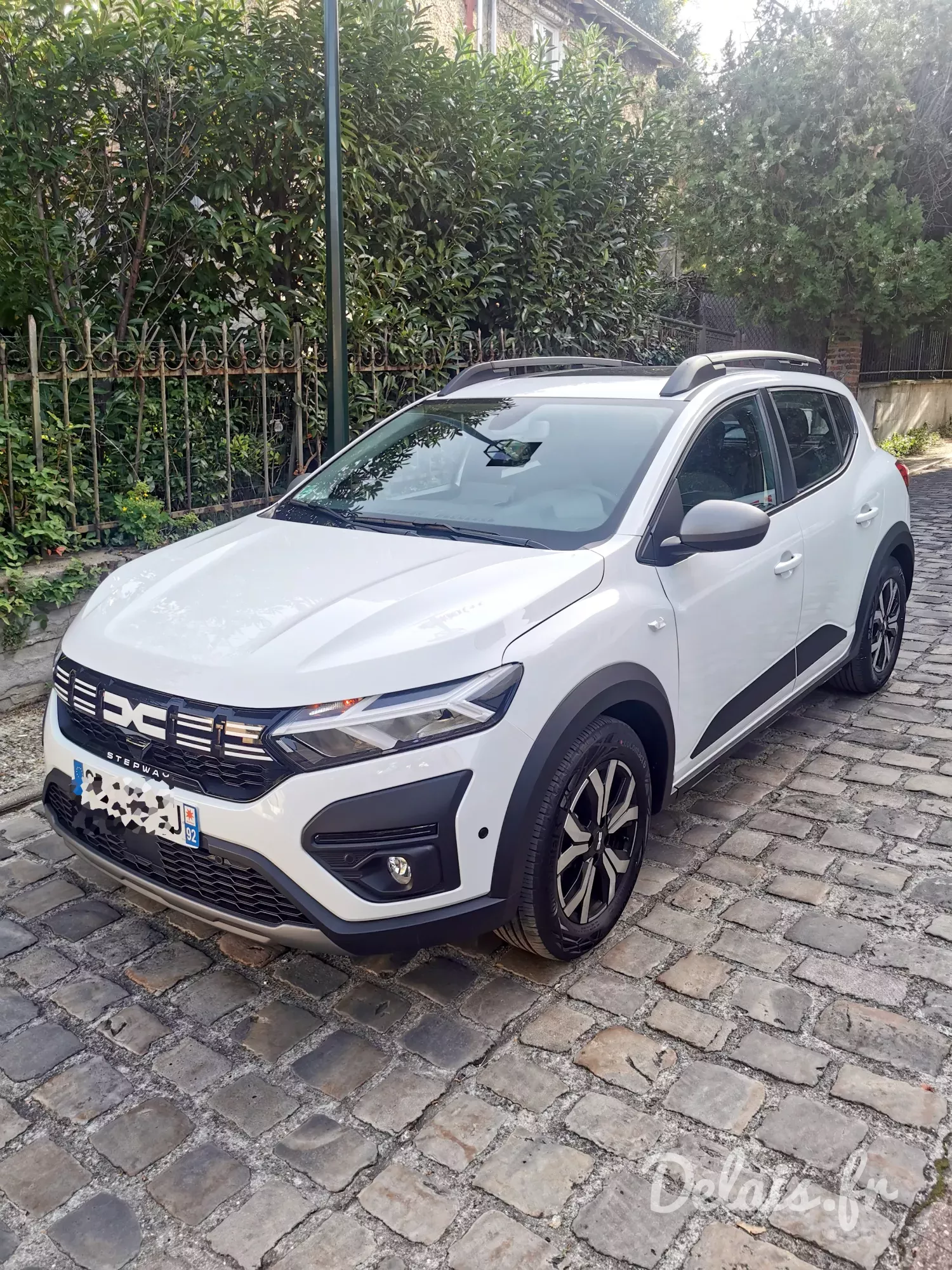 Dacia Sandero Glacier White Stepway Expression