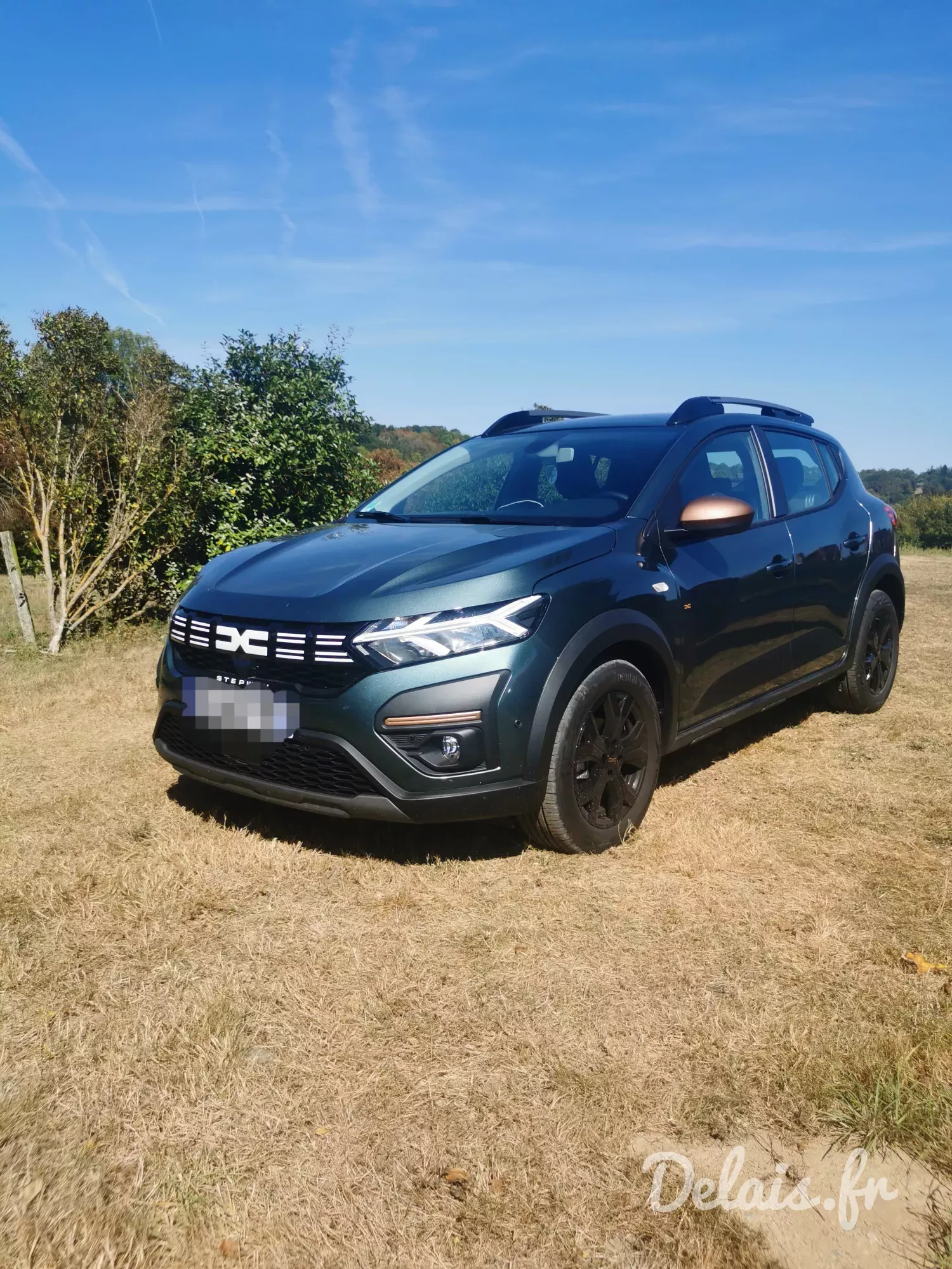 Dacia Sandero Cedar Green Stepway Extreme +