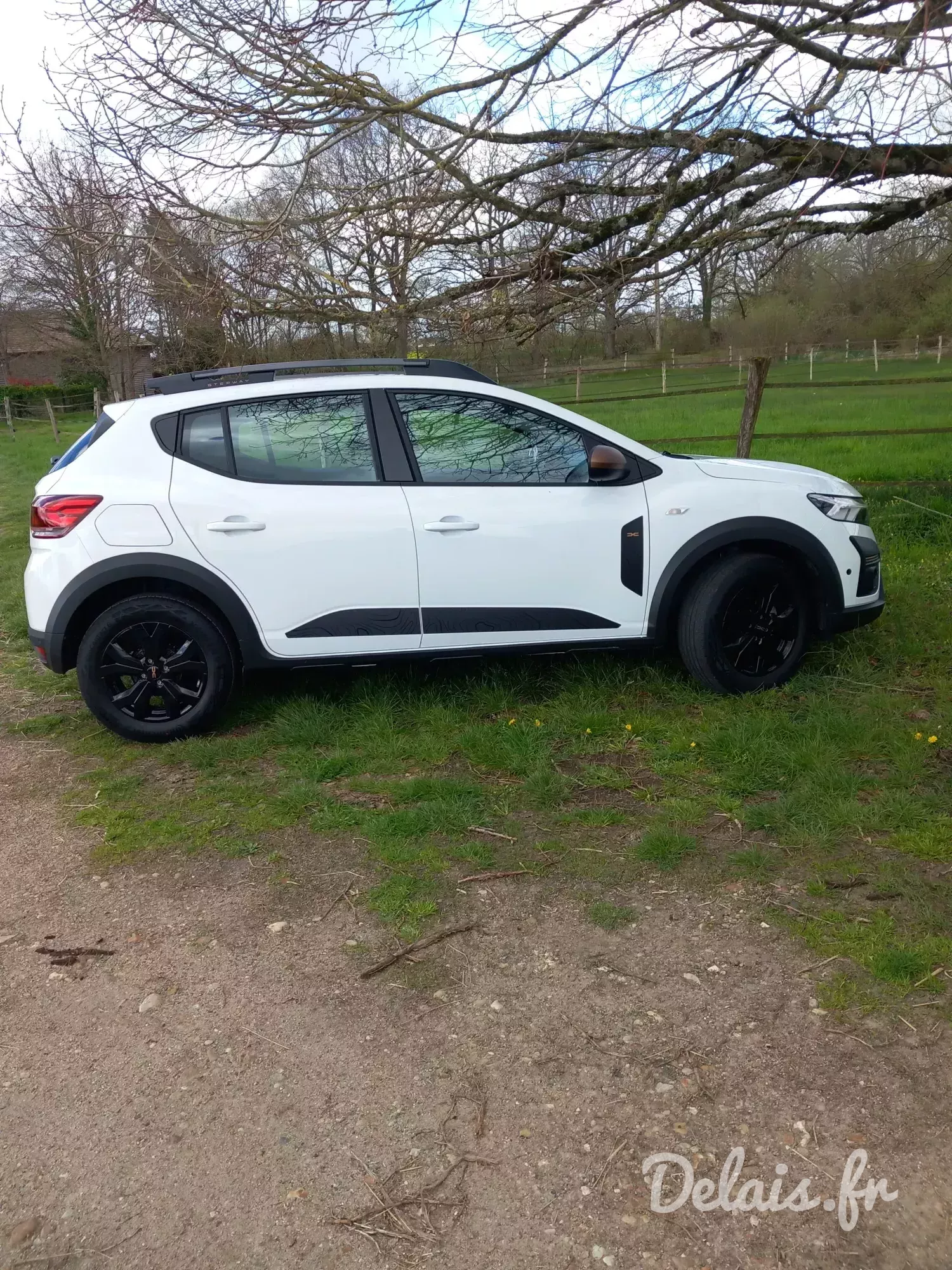 Dacia Sandero Glacier White Stepway Extreme