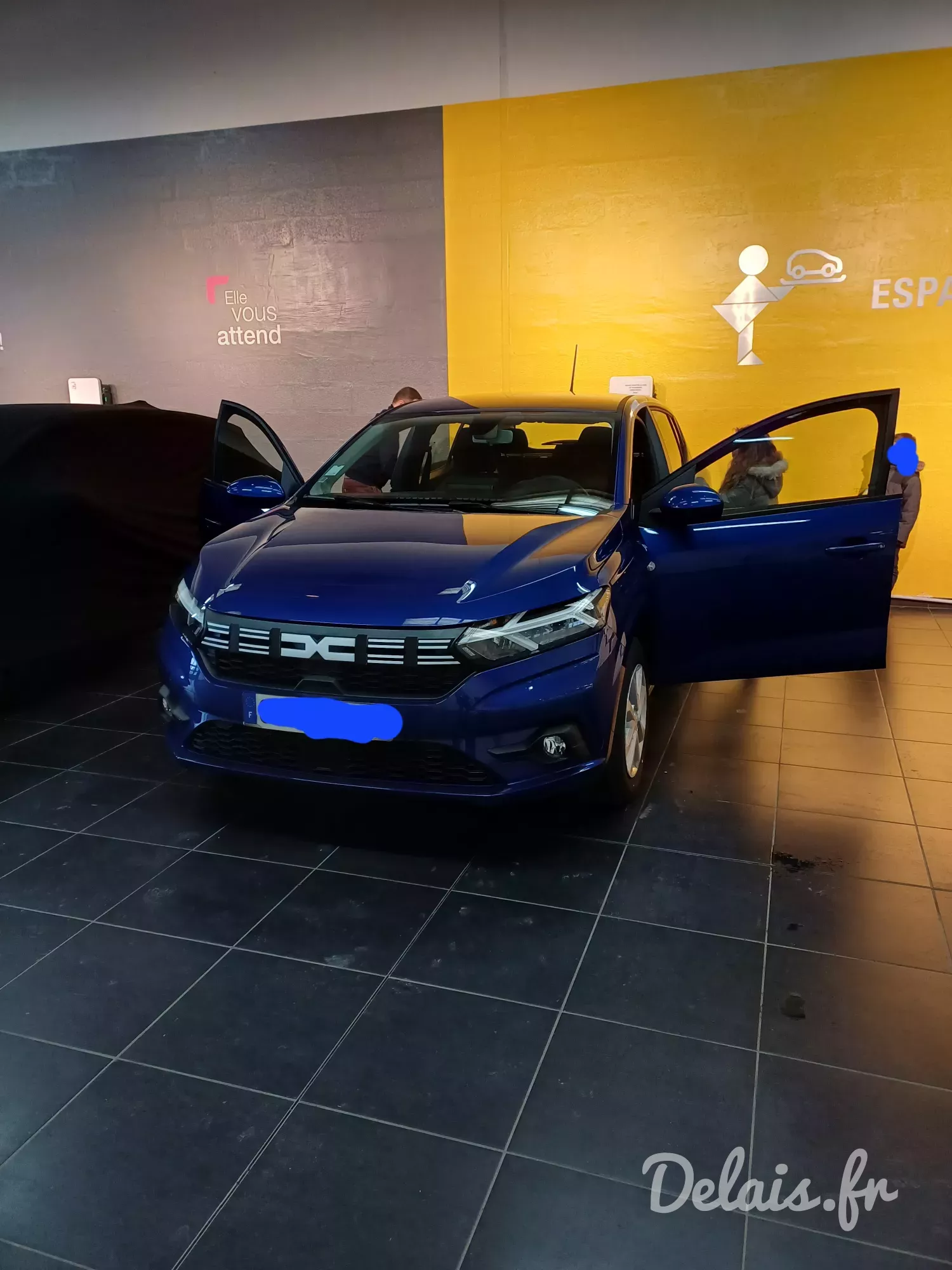 Dacia Sandero Iron Blue Expression