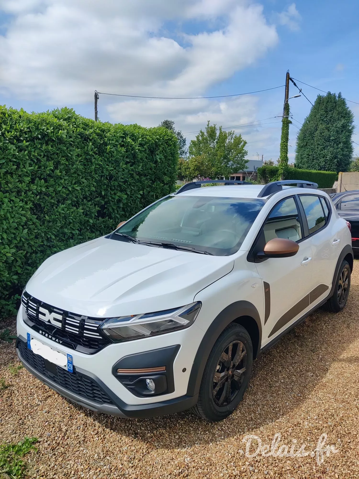 Dacia Sandero Glacier White Stepway Extreme +