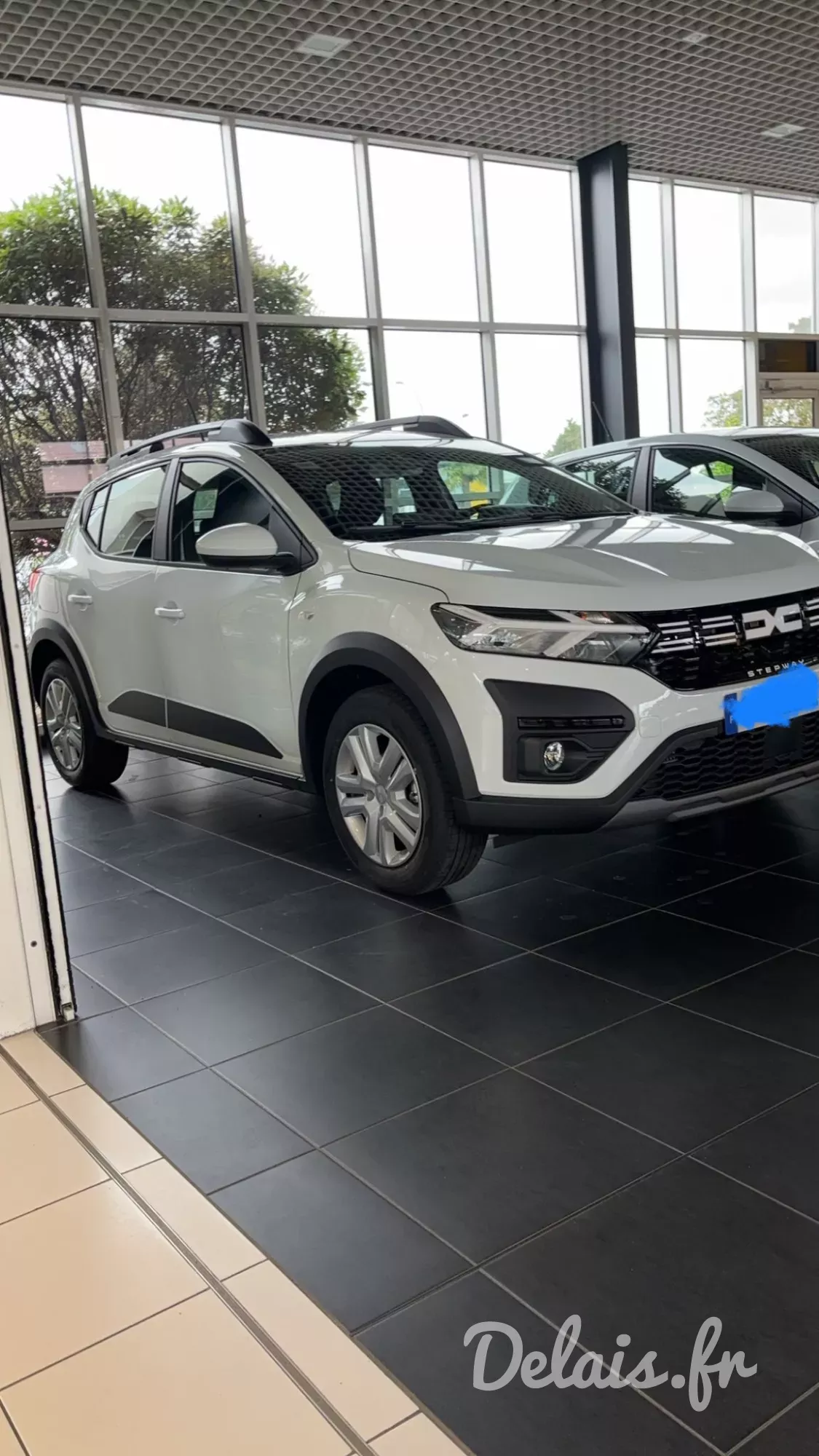 Dacia Sandero Glacier White Stepway Expression
