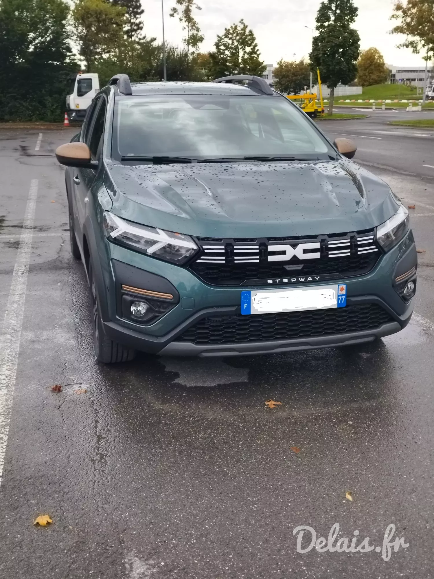 Dacia Sandero Cedar Green Stepway Expression +