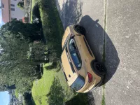 Dacia Sandero Safari Beige Stepway Extreme + of Alex
