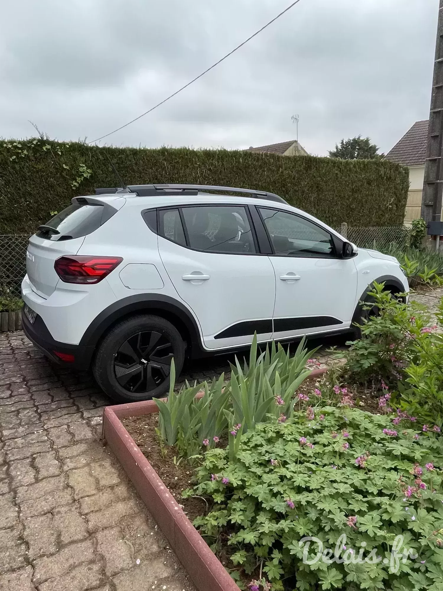 Dacia Sandero Glacier White Stepway Expression
