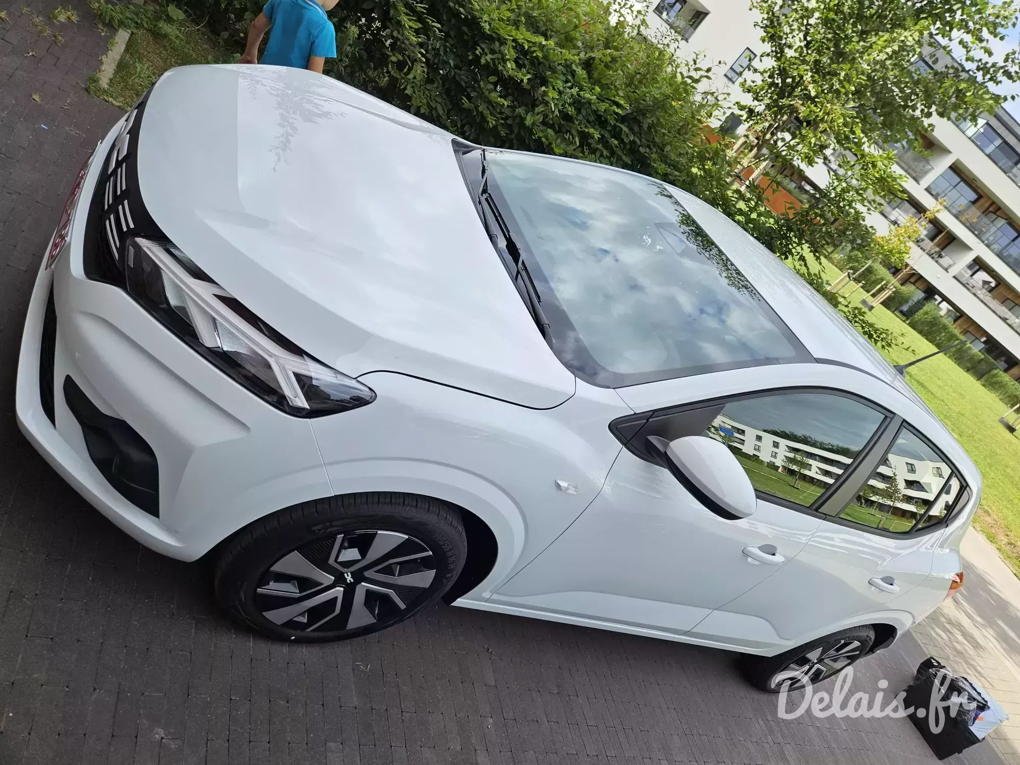 Dacia Sandero Glacier White Expression
