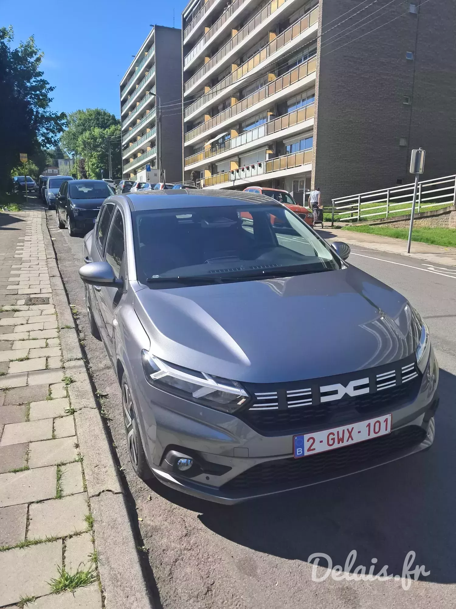 Dacia Sandero Gris Comète Expression