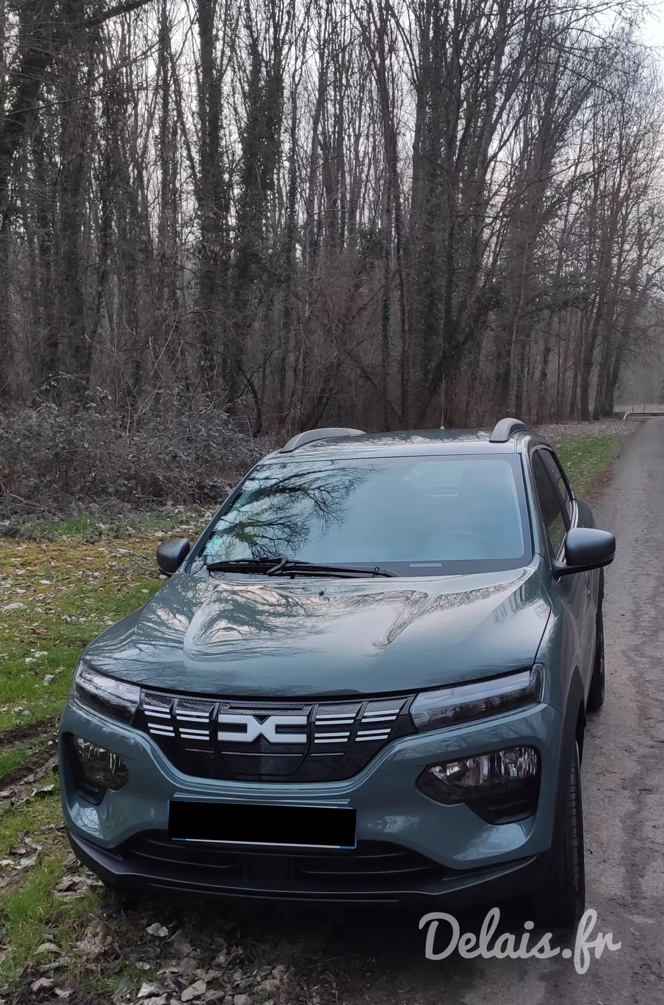 Dacia Spring Khaki Expression
