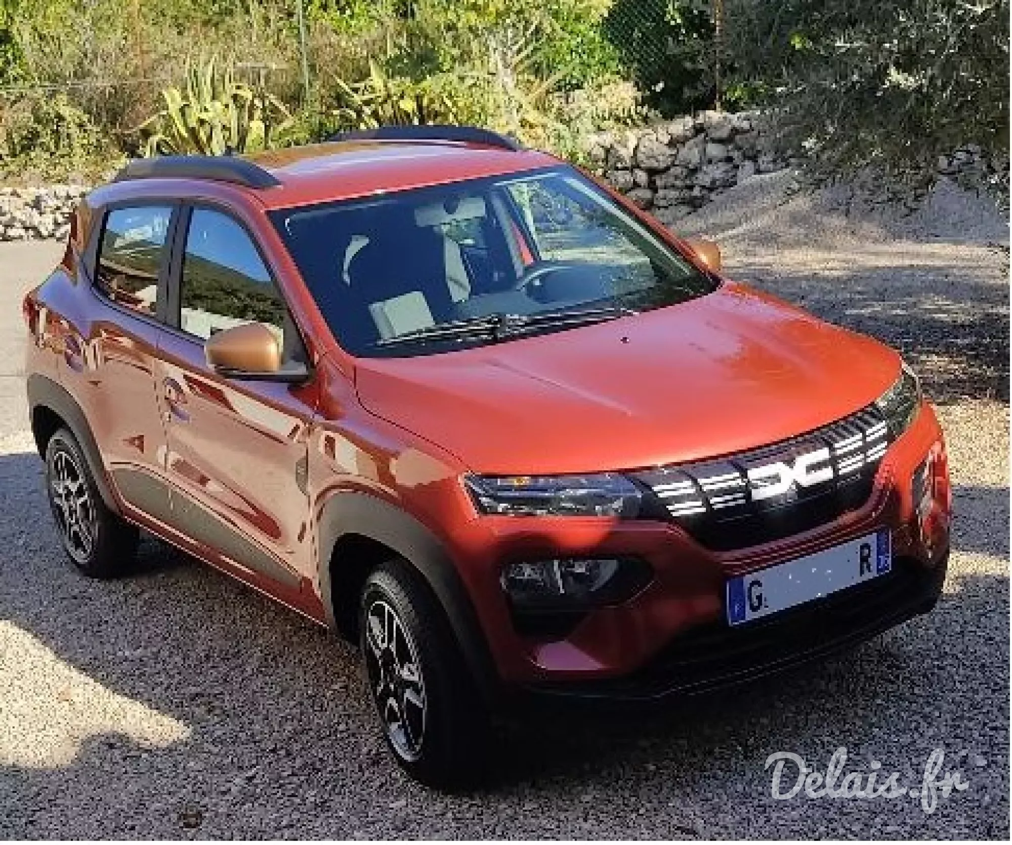 Dacia Spring Rouge Goji Extreme