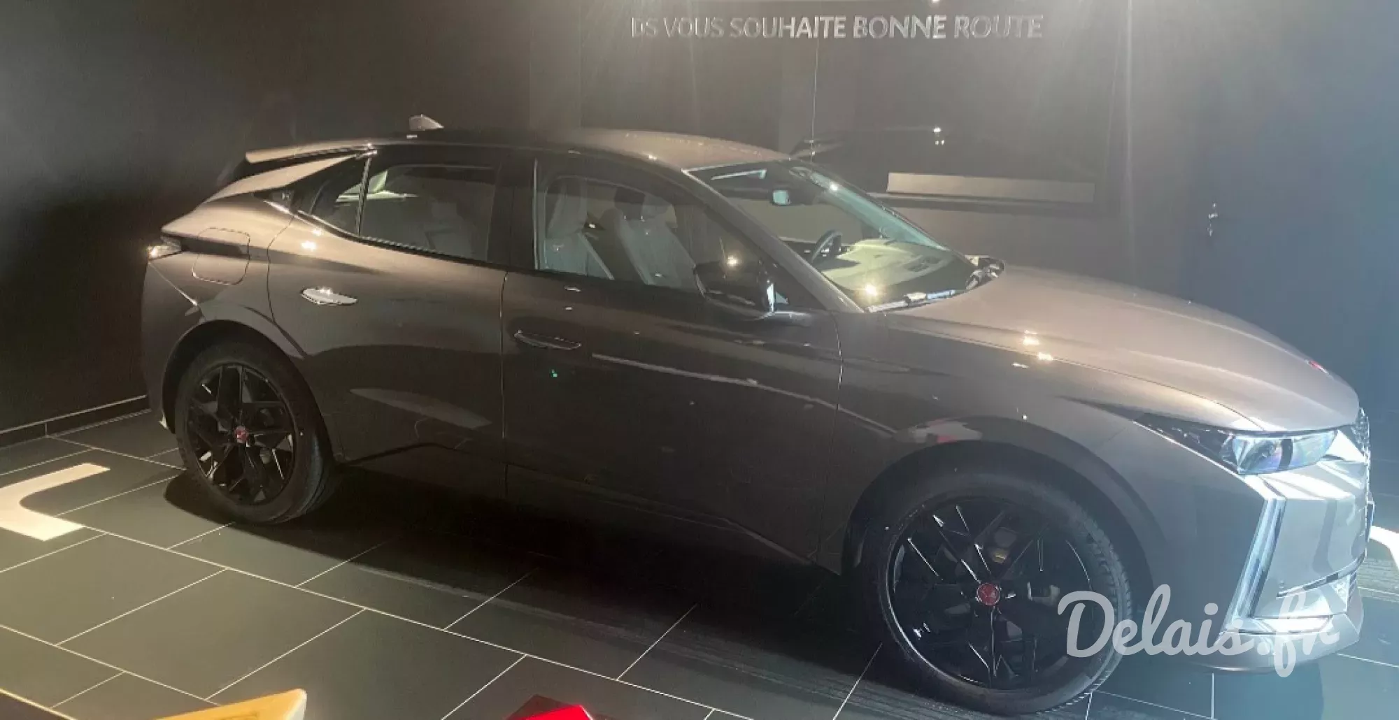 DS4 Gris Platinium Performance Line