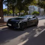 DS 4 Noir Perla Nera Performance Line of Kat44