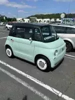 Topolino of Lloyd