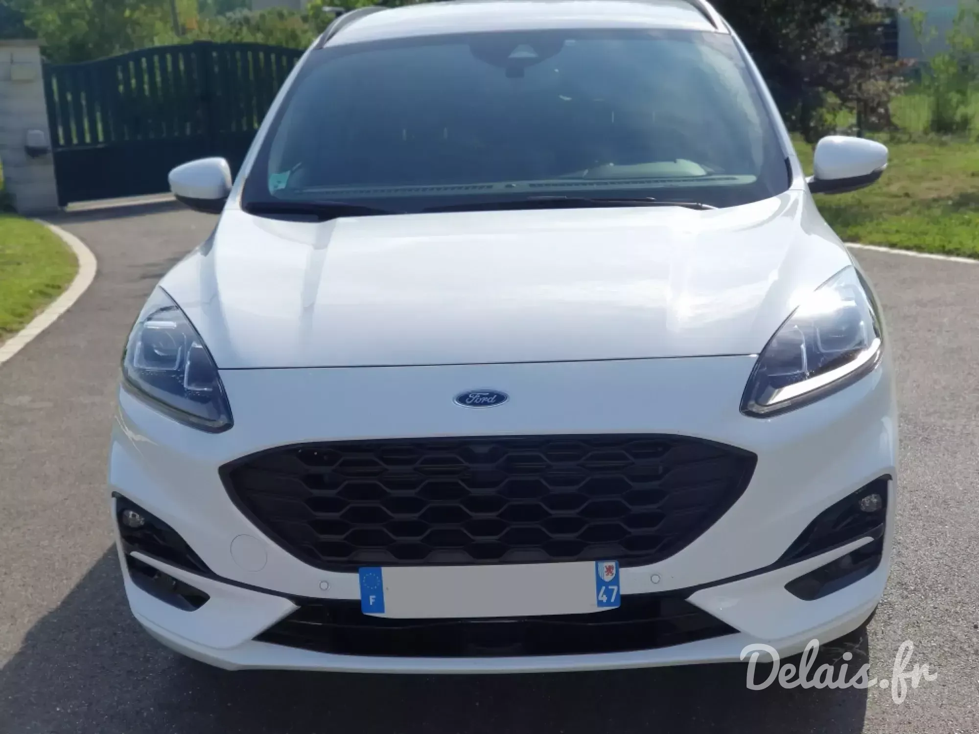 Ford Kuga Frozen White ST-Line