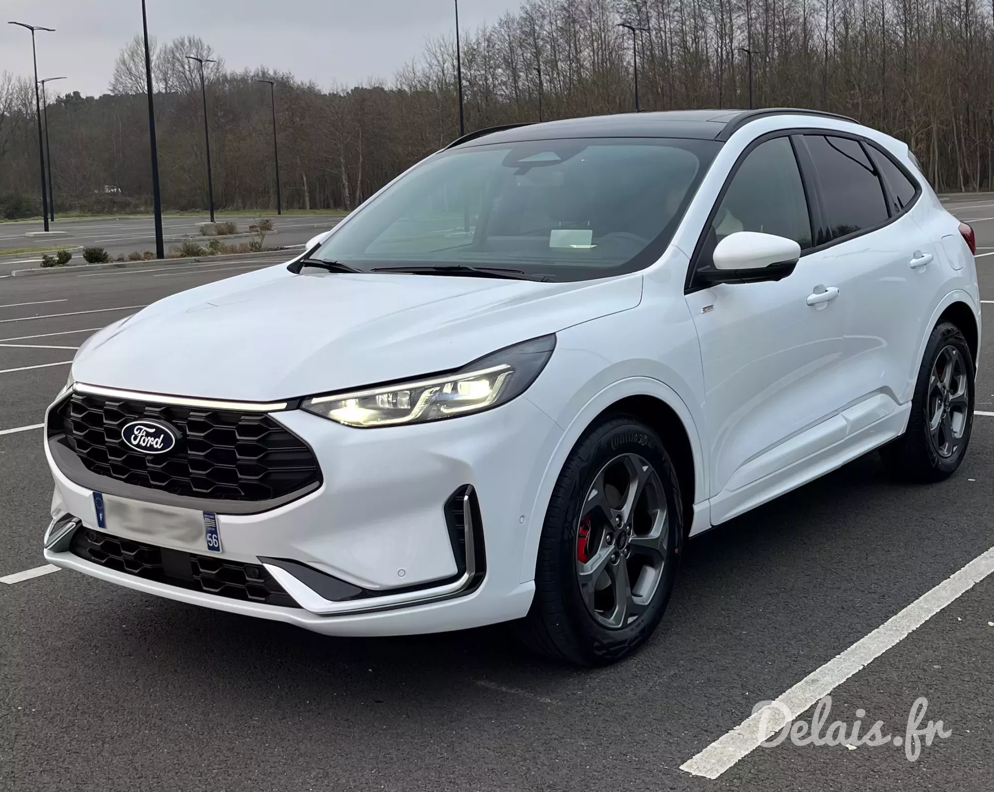 Ford Kuga Frozen White ST-Line X
