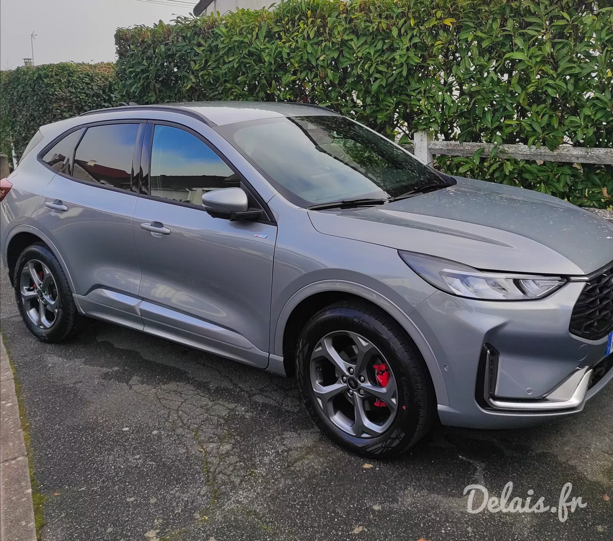 Ford Kuga Gris Solar ST-Line X