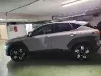 Hyundai Kona Ecotronic Grey Executive of Guy