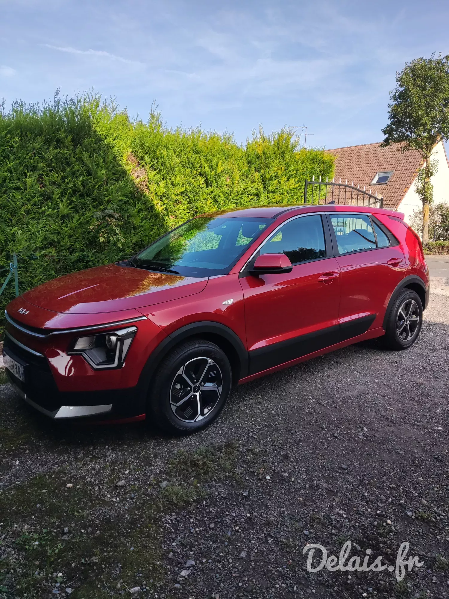 Kia Niro Rouge Magma Motion