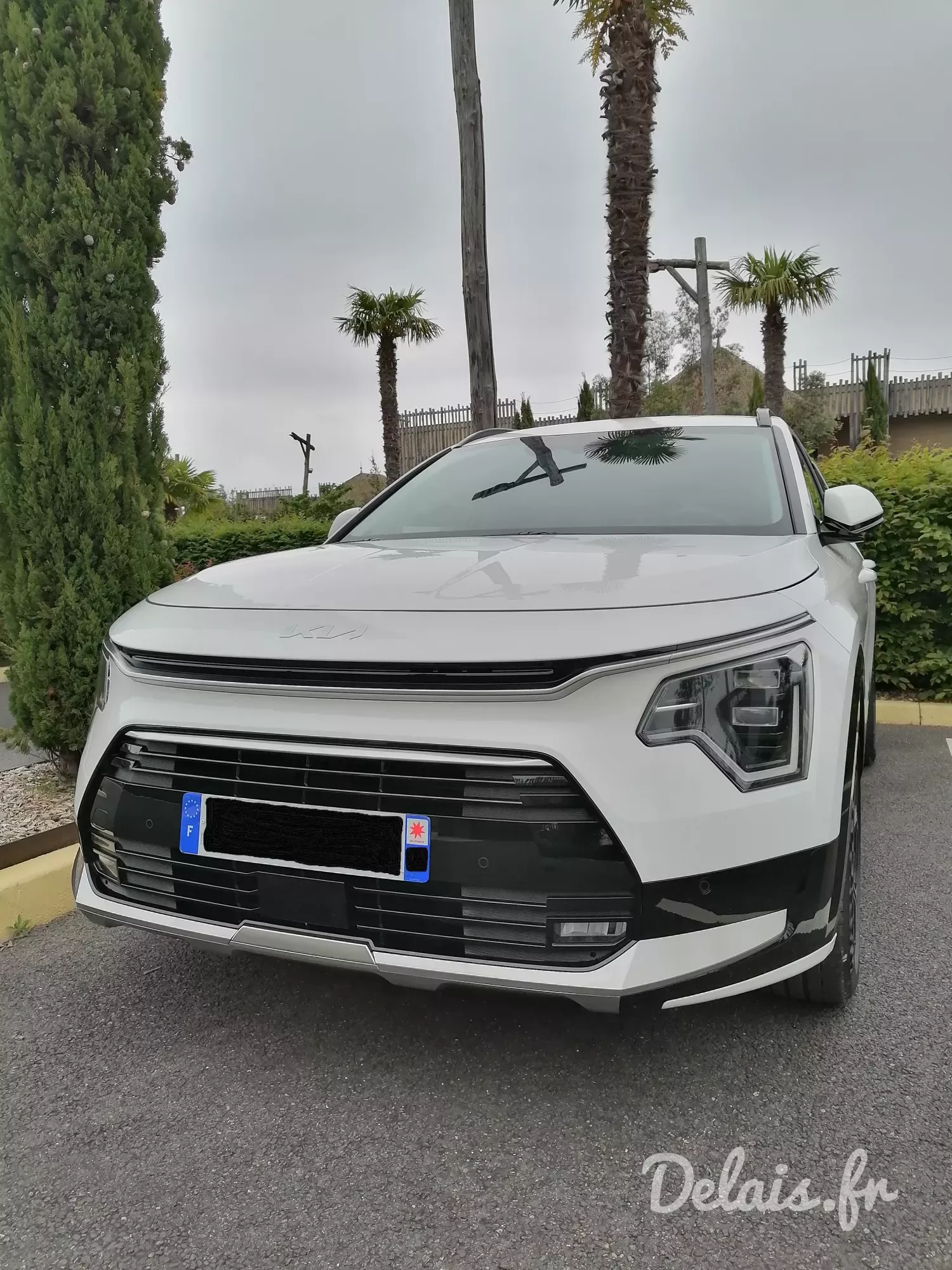 Kia Niro Blanc Céleste Premium