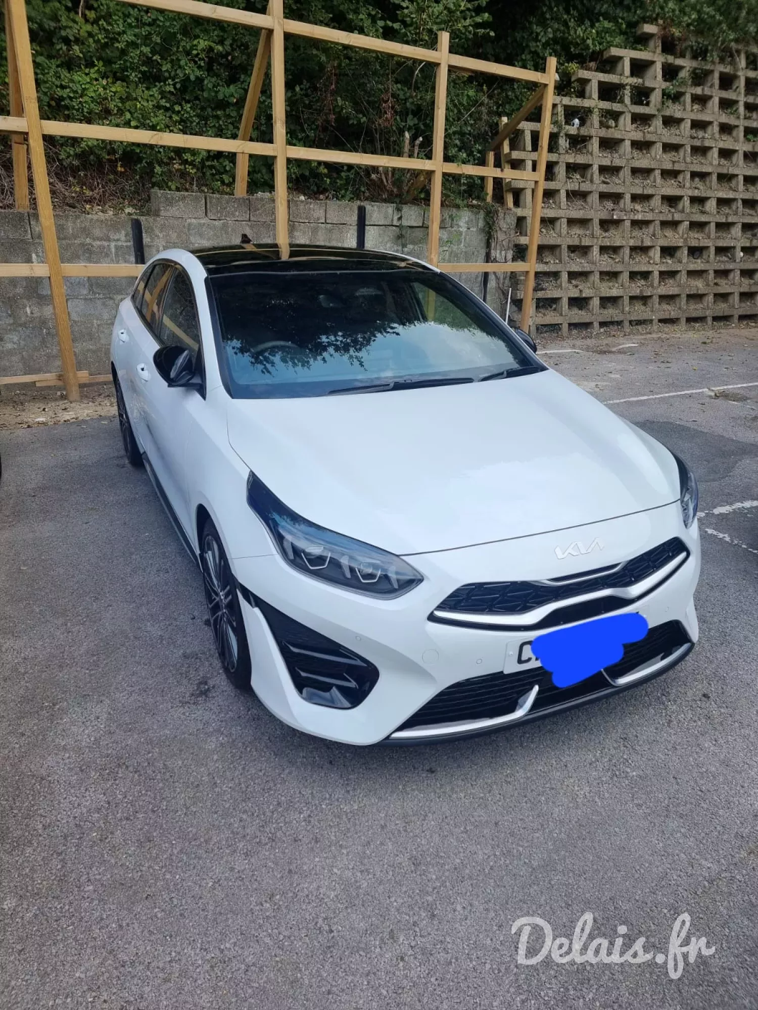 Kia Proceed White GT-line