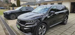 Kia Sorento Brun Taïga Pulse of Carel_Hungary