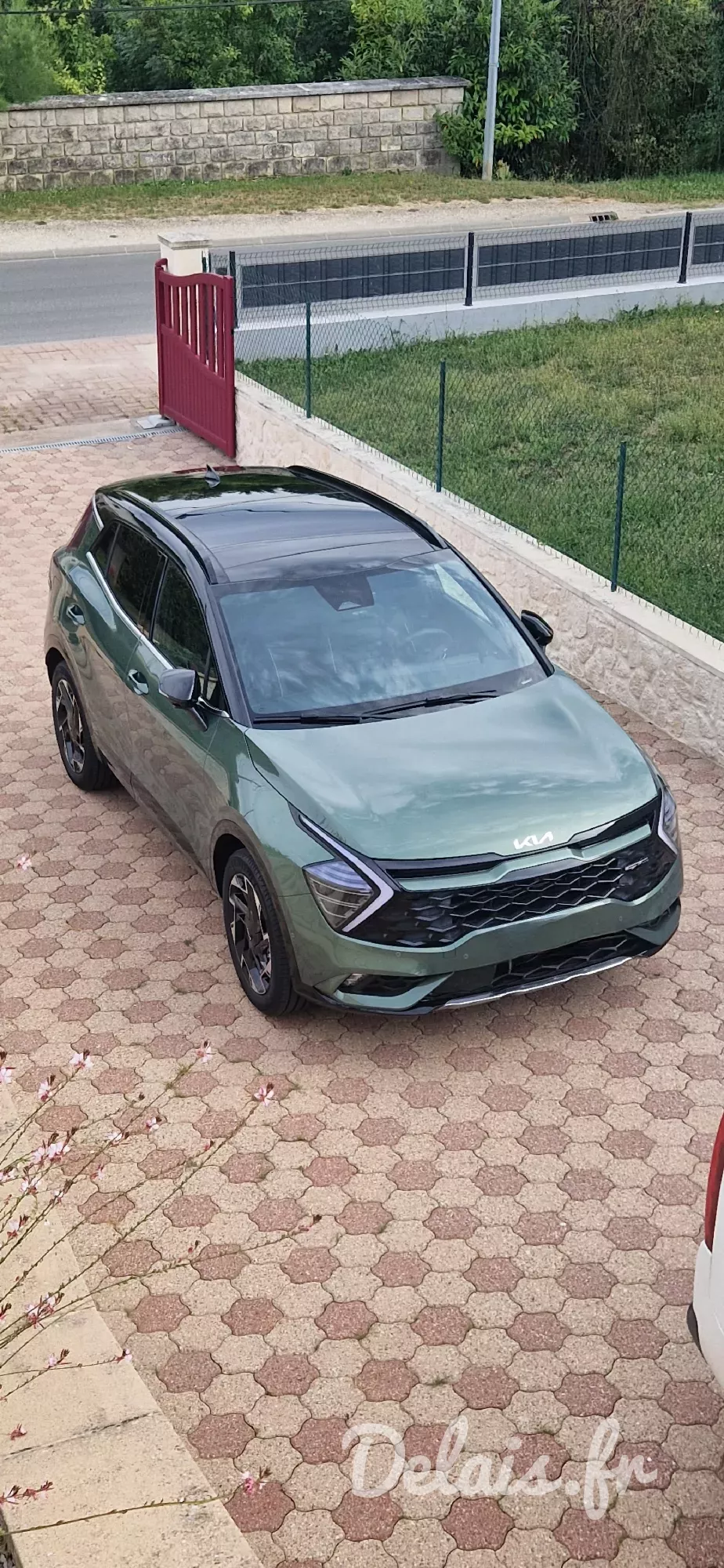 Kia Sportage Vert Bornéo GT Line Premium