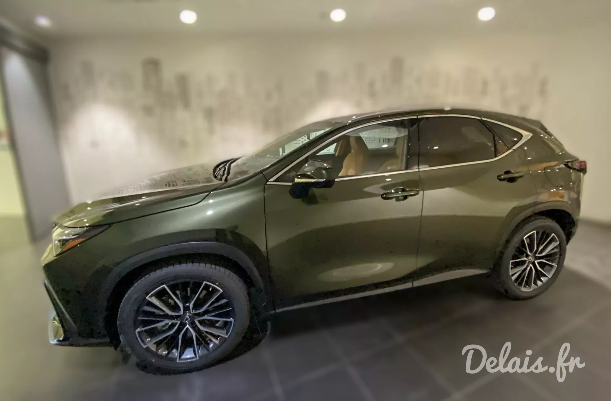 Lexus NX Vert Kaki Executive