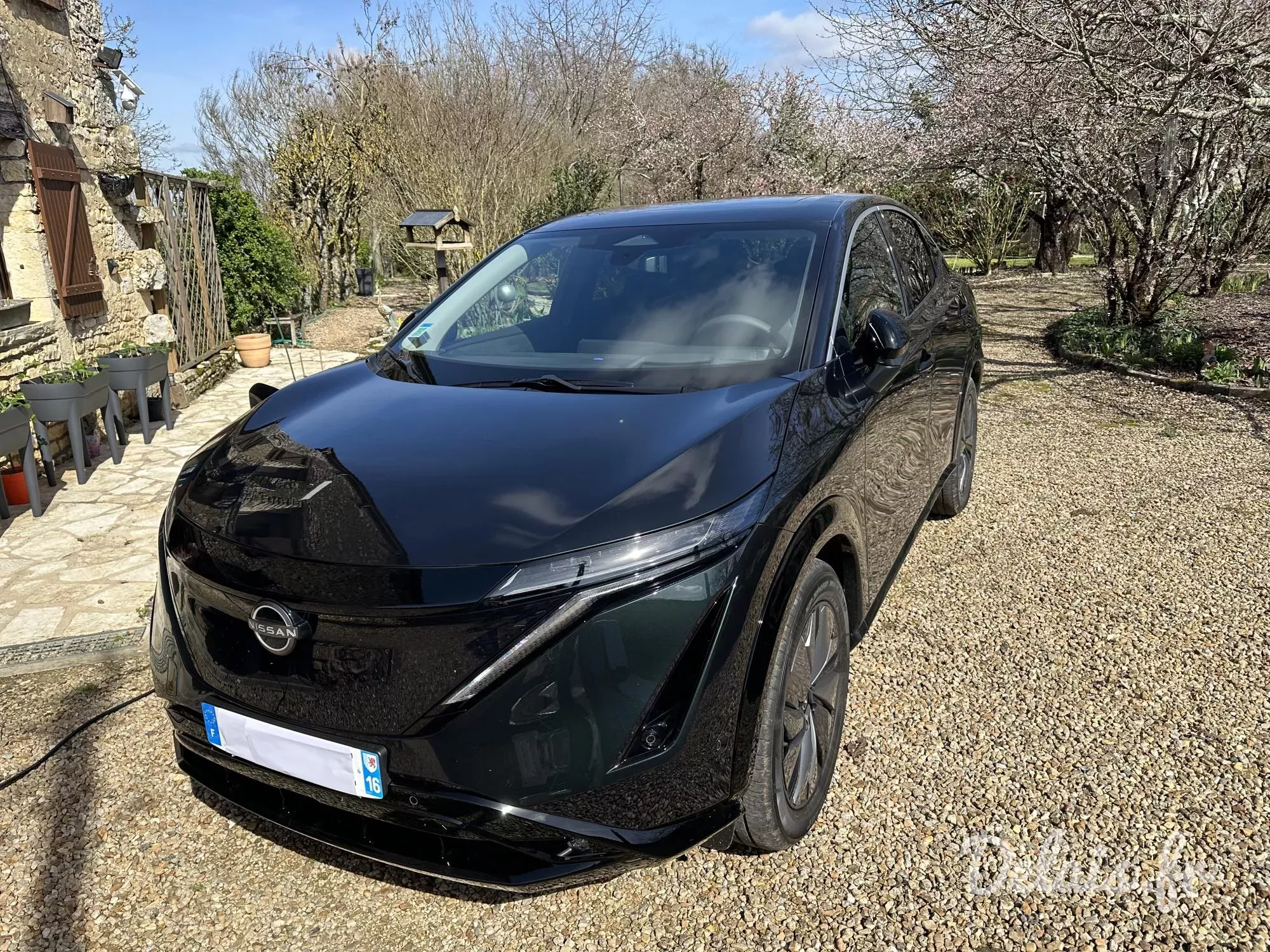 Nissan Ariya Vert Nayoro Evolve
