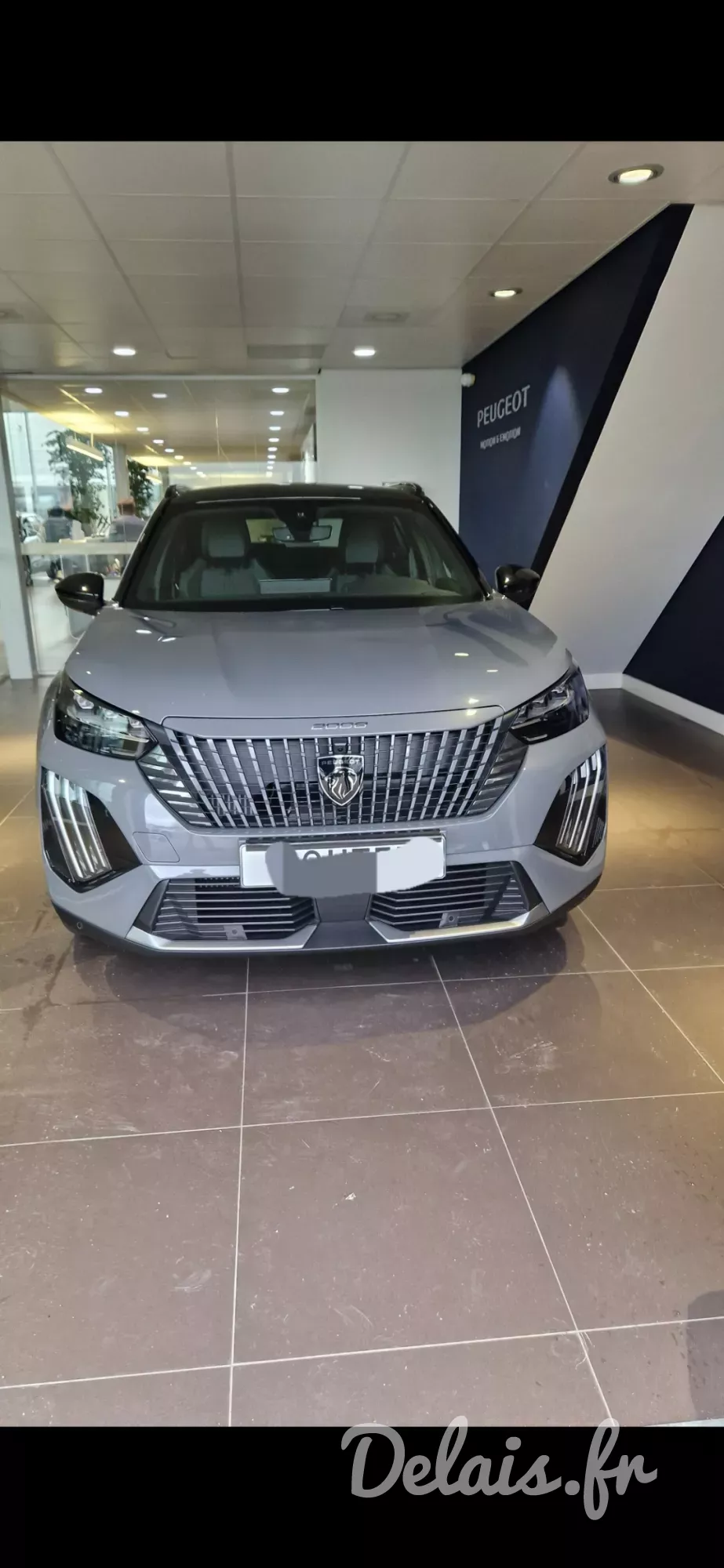 Peugeot 2008 Selenium Grey GT
