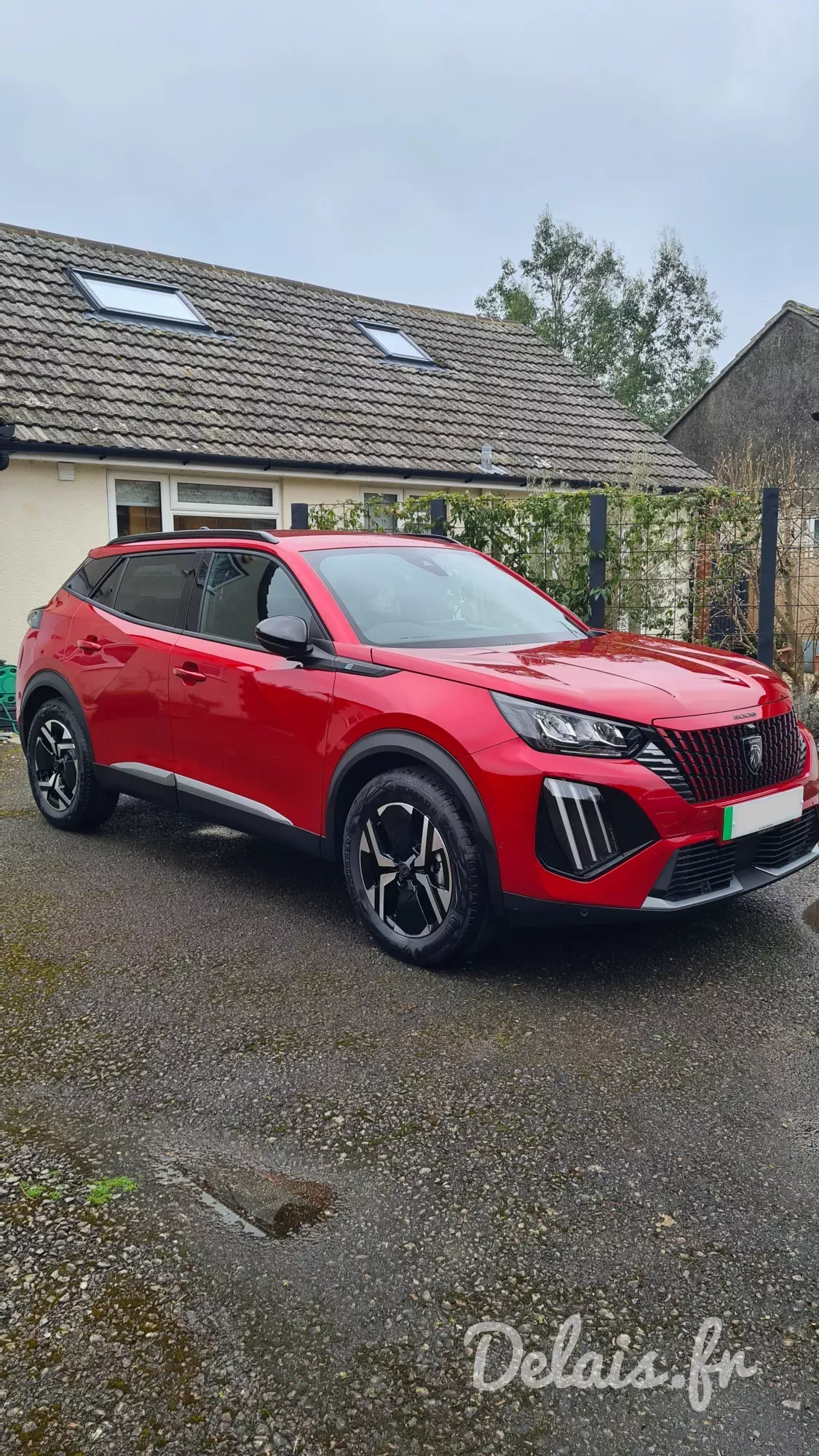 Peugeot 2008 Elixir Red Allure