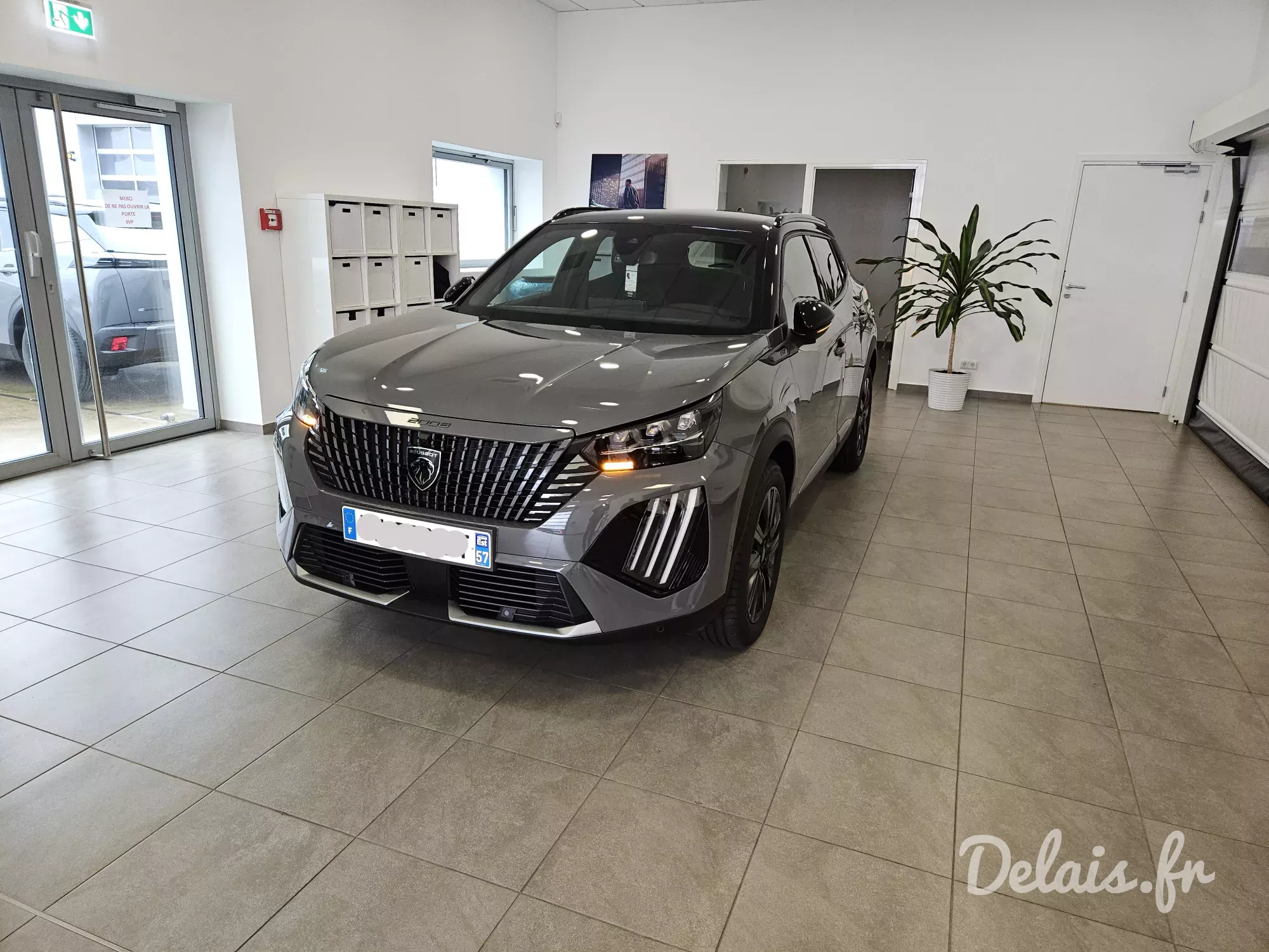 Peugeot 2008 Selenium Grey GT