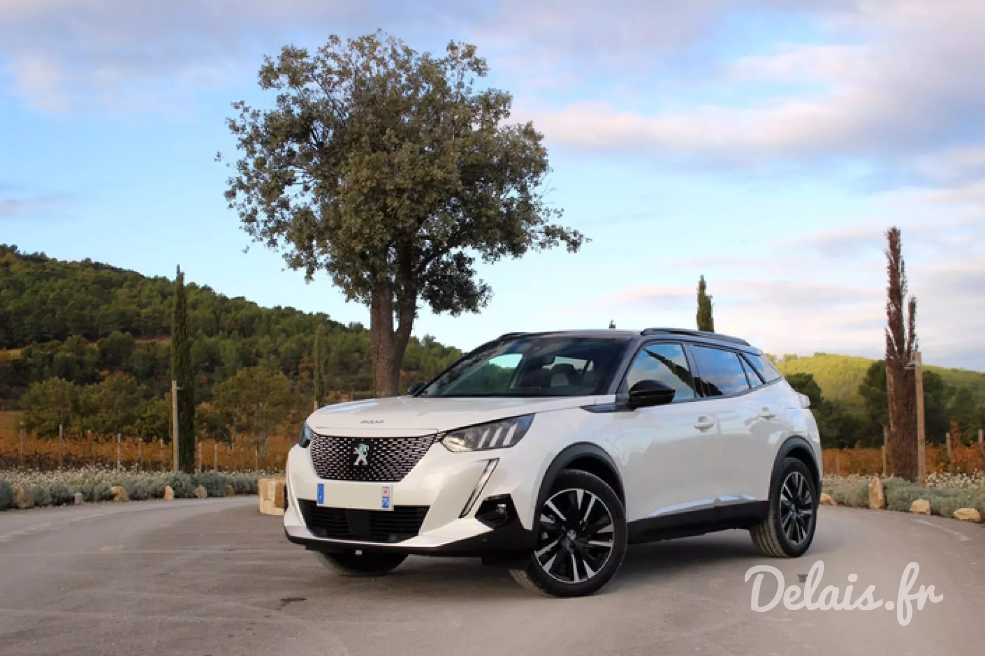 Peugeot 2008 Blanc Nacré GT-Line