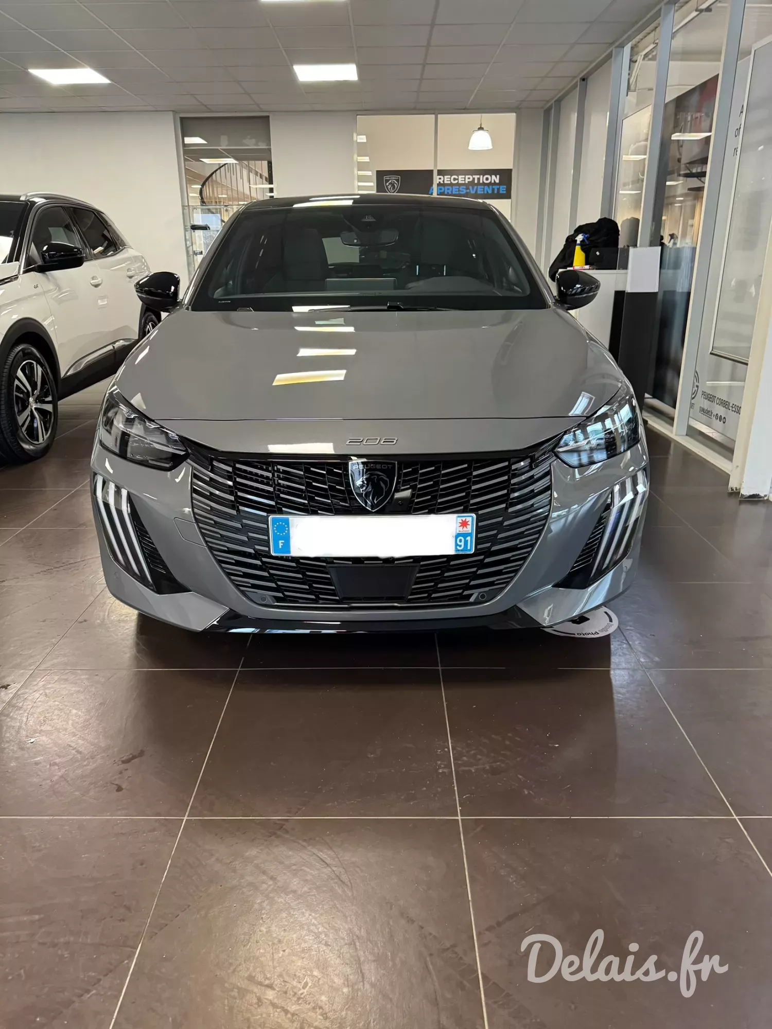 Peugeot 208 Selenium Grey GT