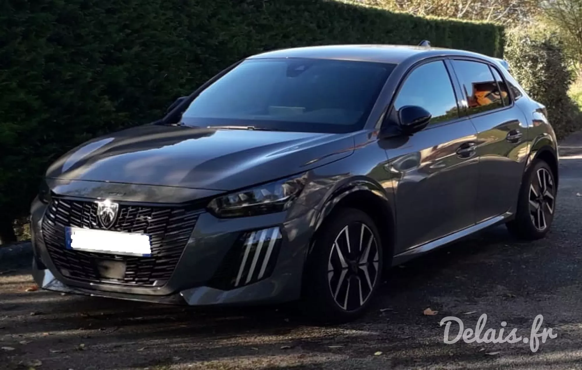 Peugeot 208 Selenium Grey GT