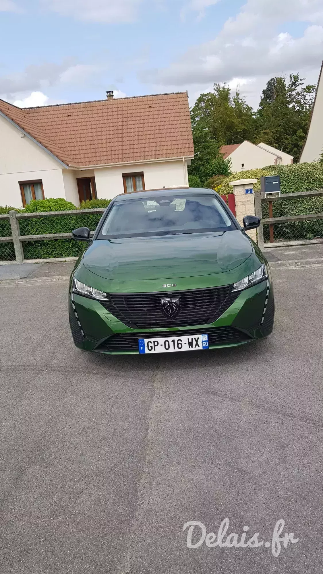 Peugeot 308 Vert Olivine Active Pack