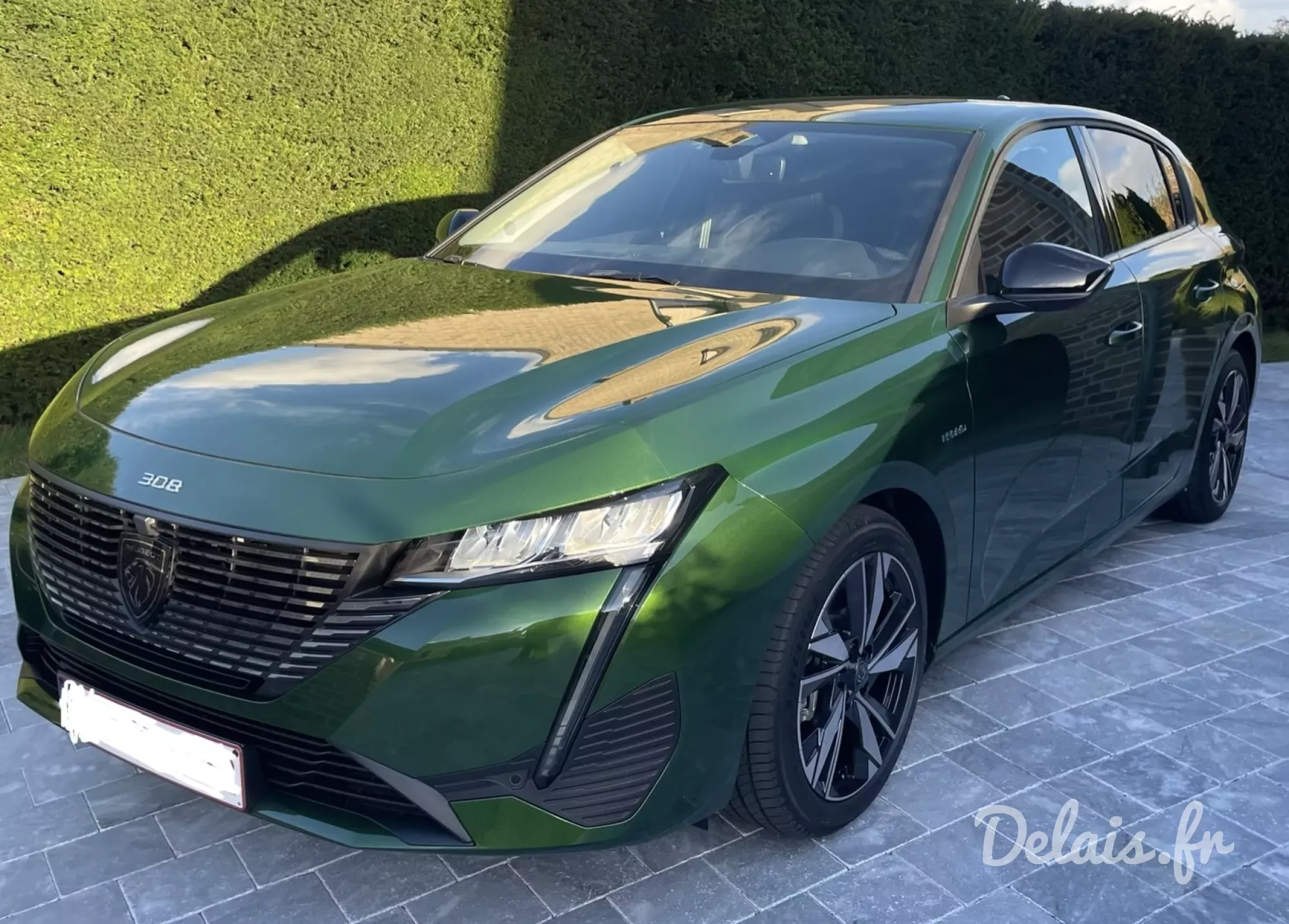 Peugeot 308 Vert Olivine Allure