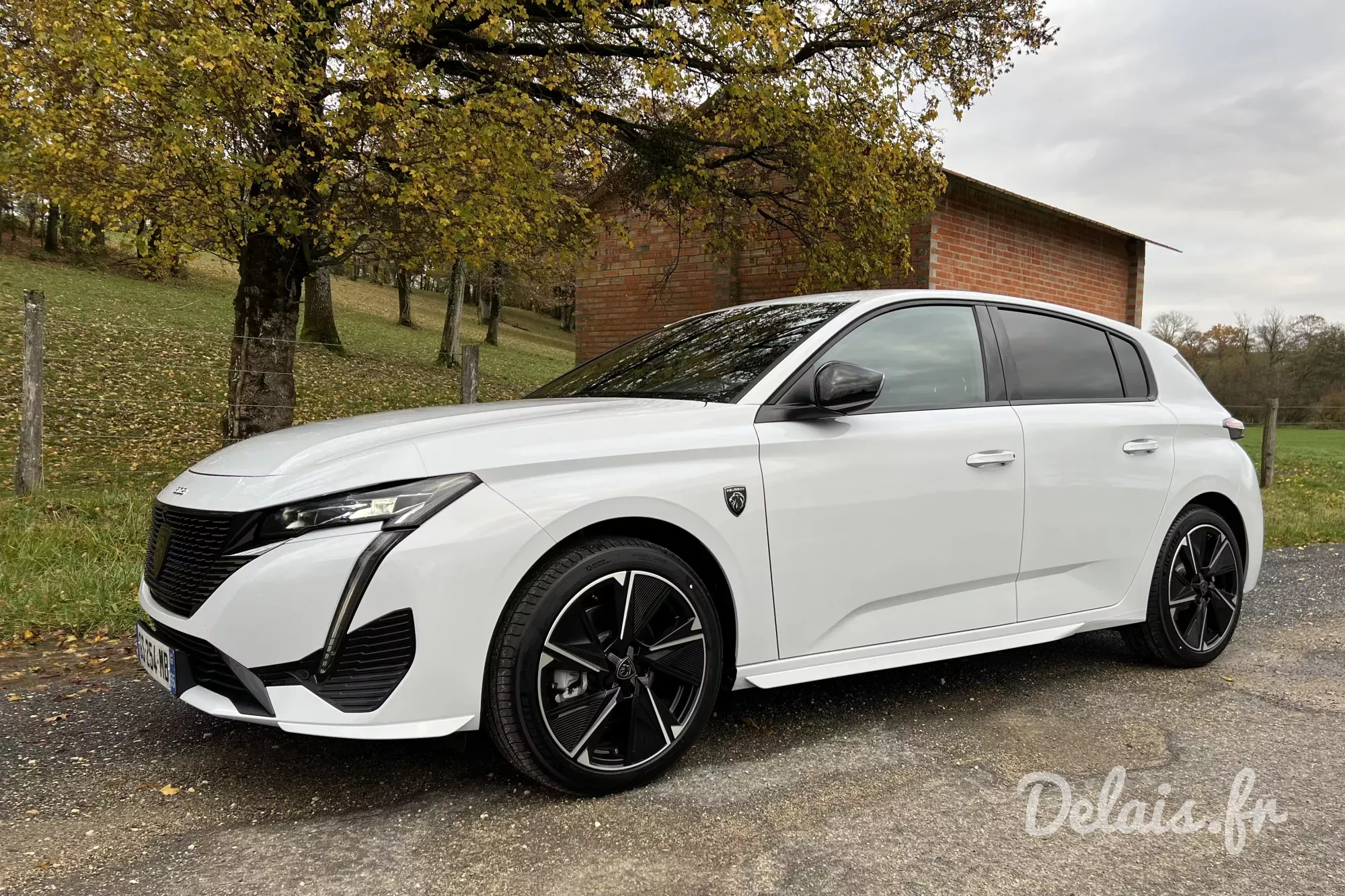 Peugeot 308 Okenite White E-308 First Edition