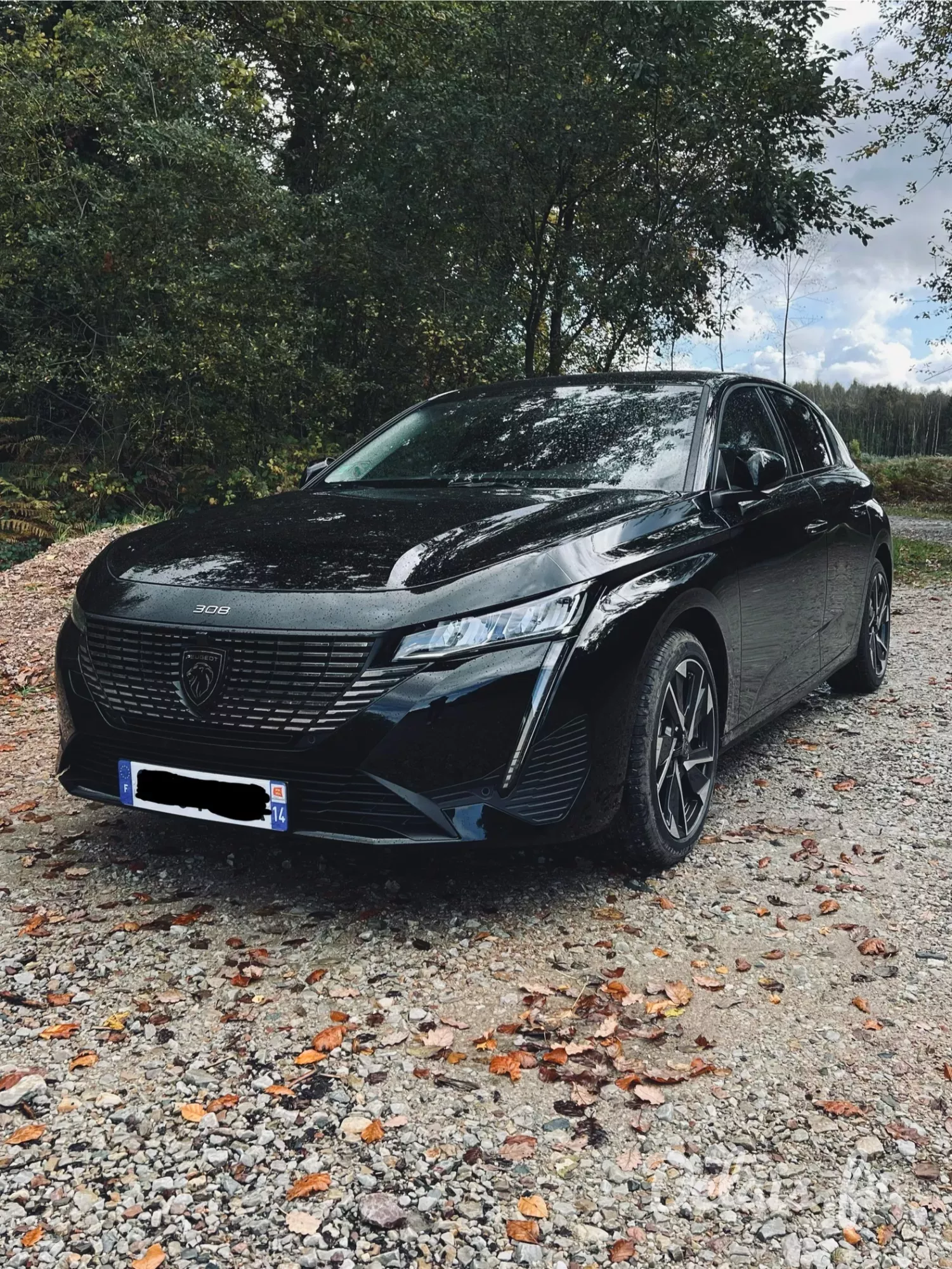 Peugeot 308 Nera Black Allure Pack