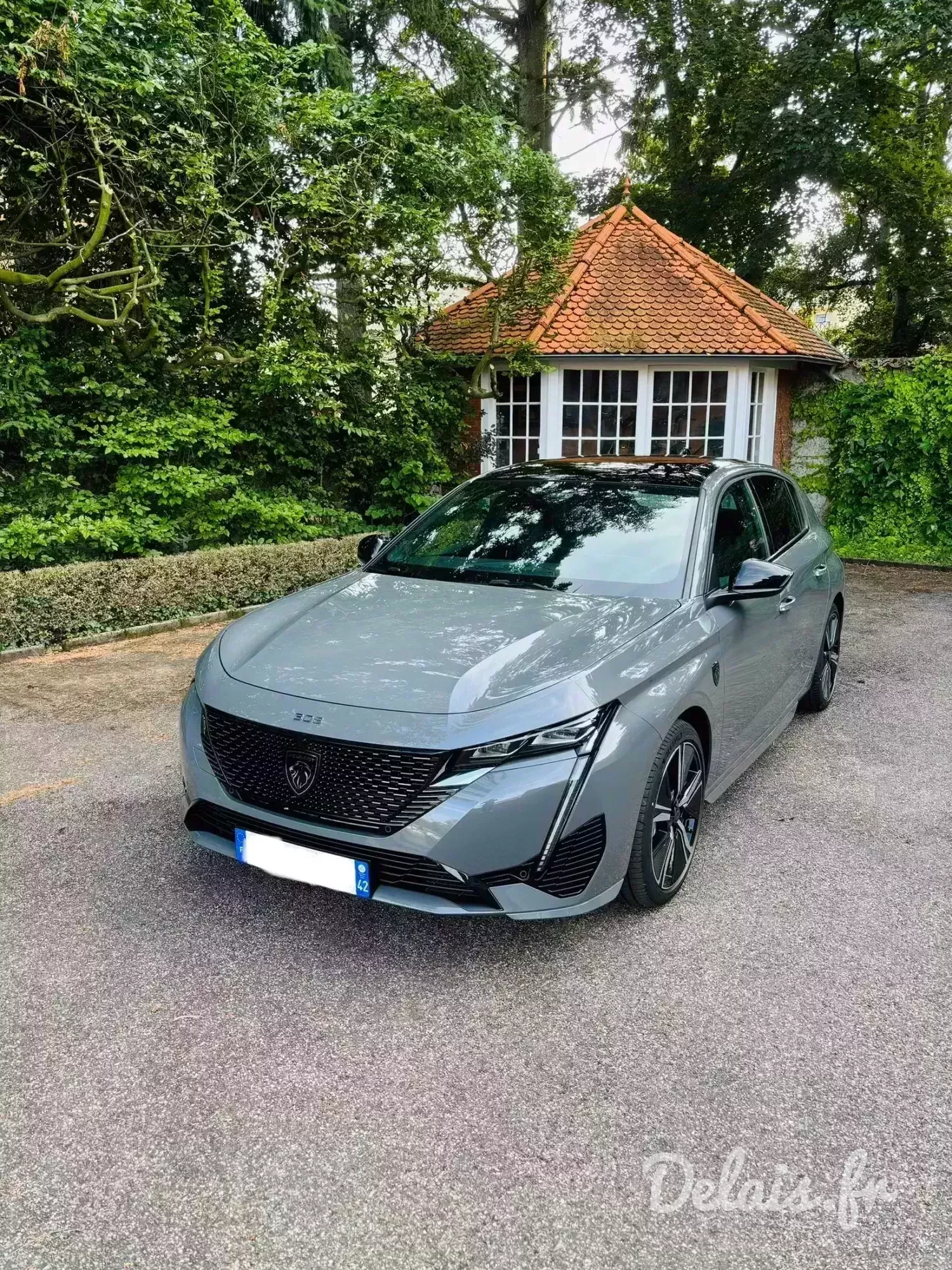Peugeot 308 Selenium Grey GT