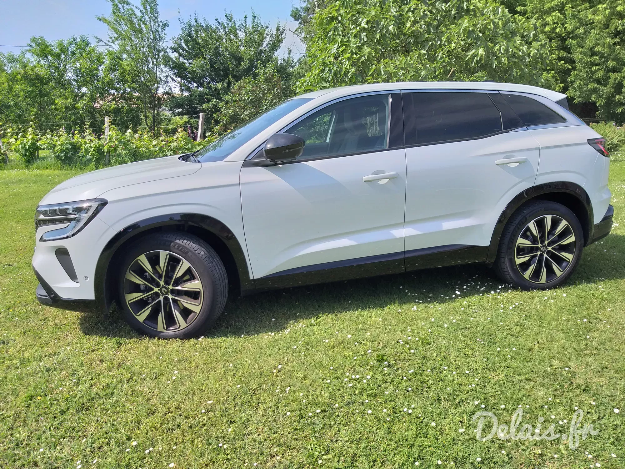 Renault Austral Arctic White Techno