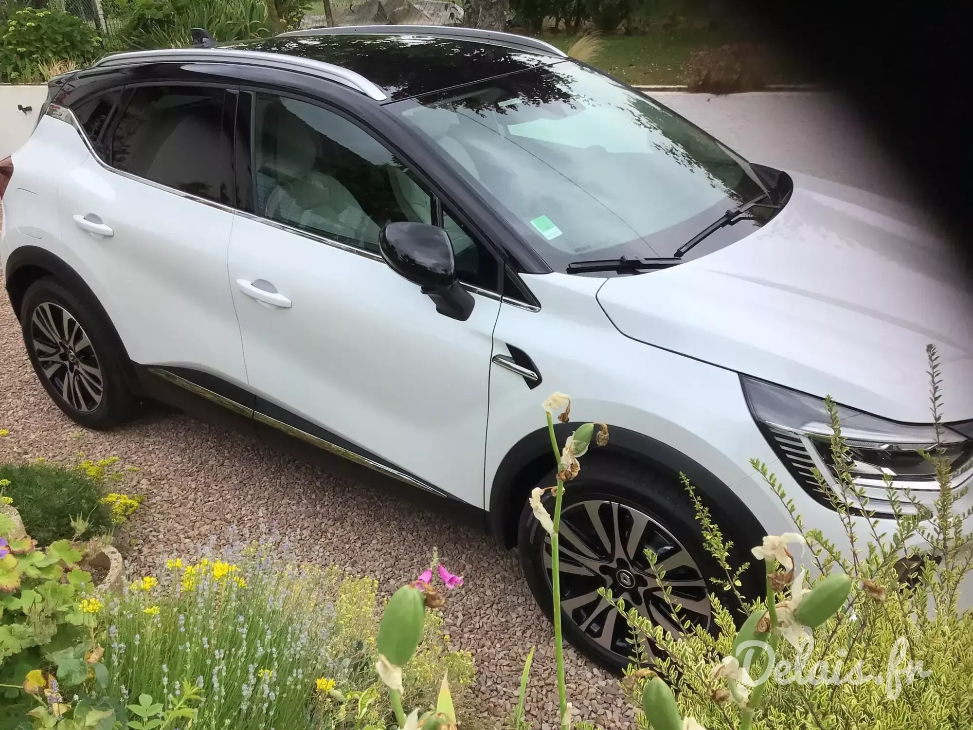 Renault Captur Arctic White Iconic