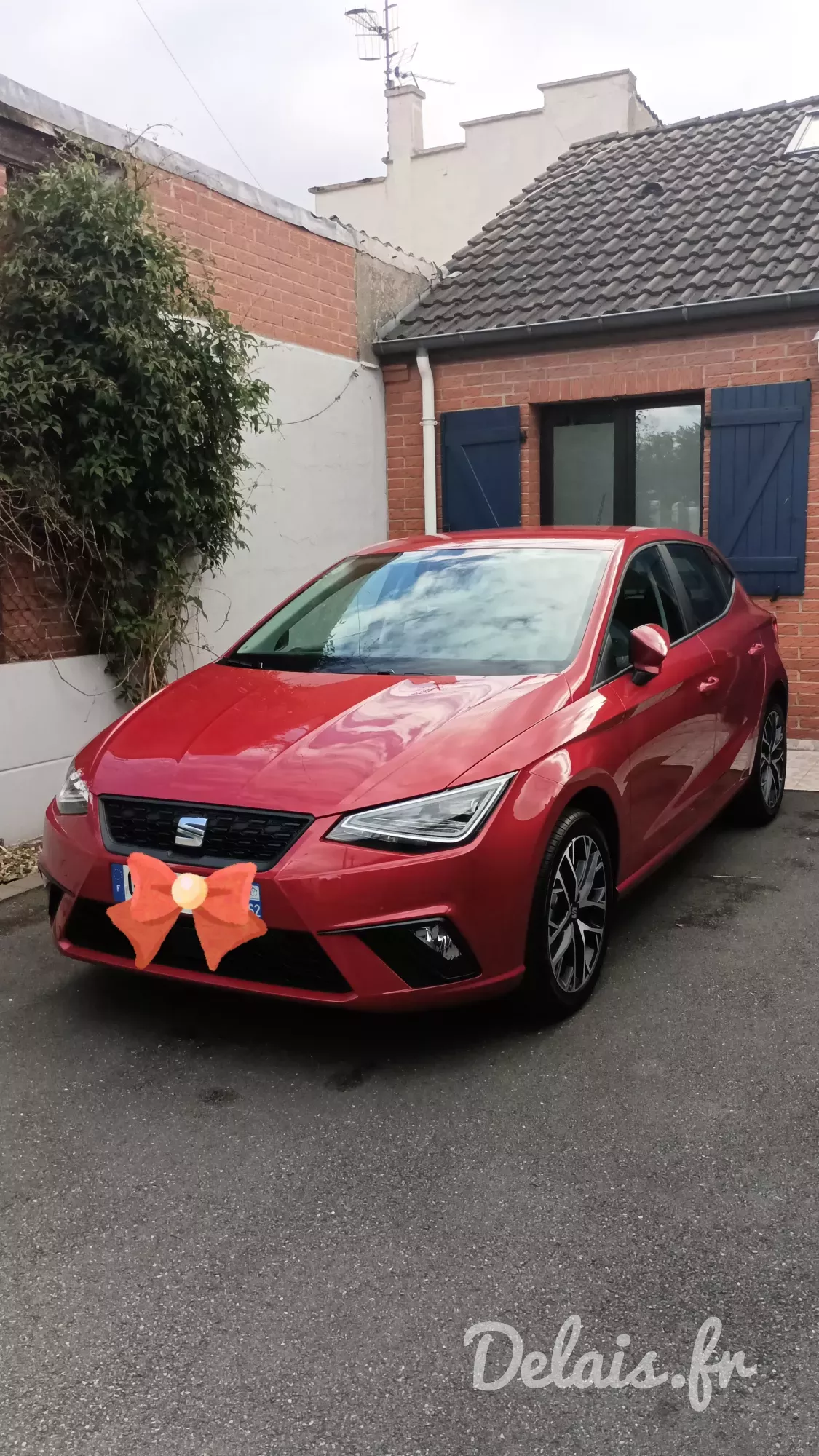 Seat Ibiza Rouge Désir Copa