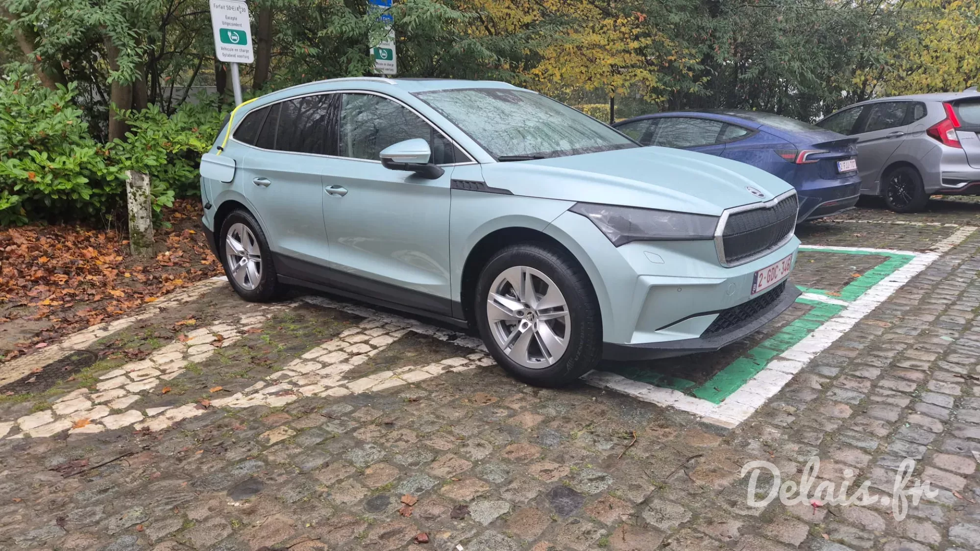 Škoda Enyaq Gris Arctic Version